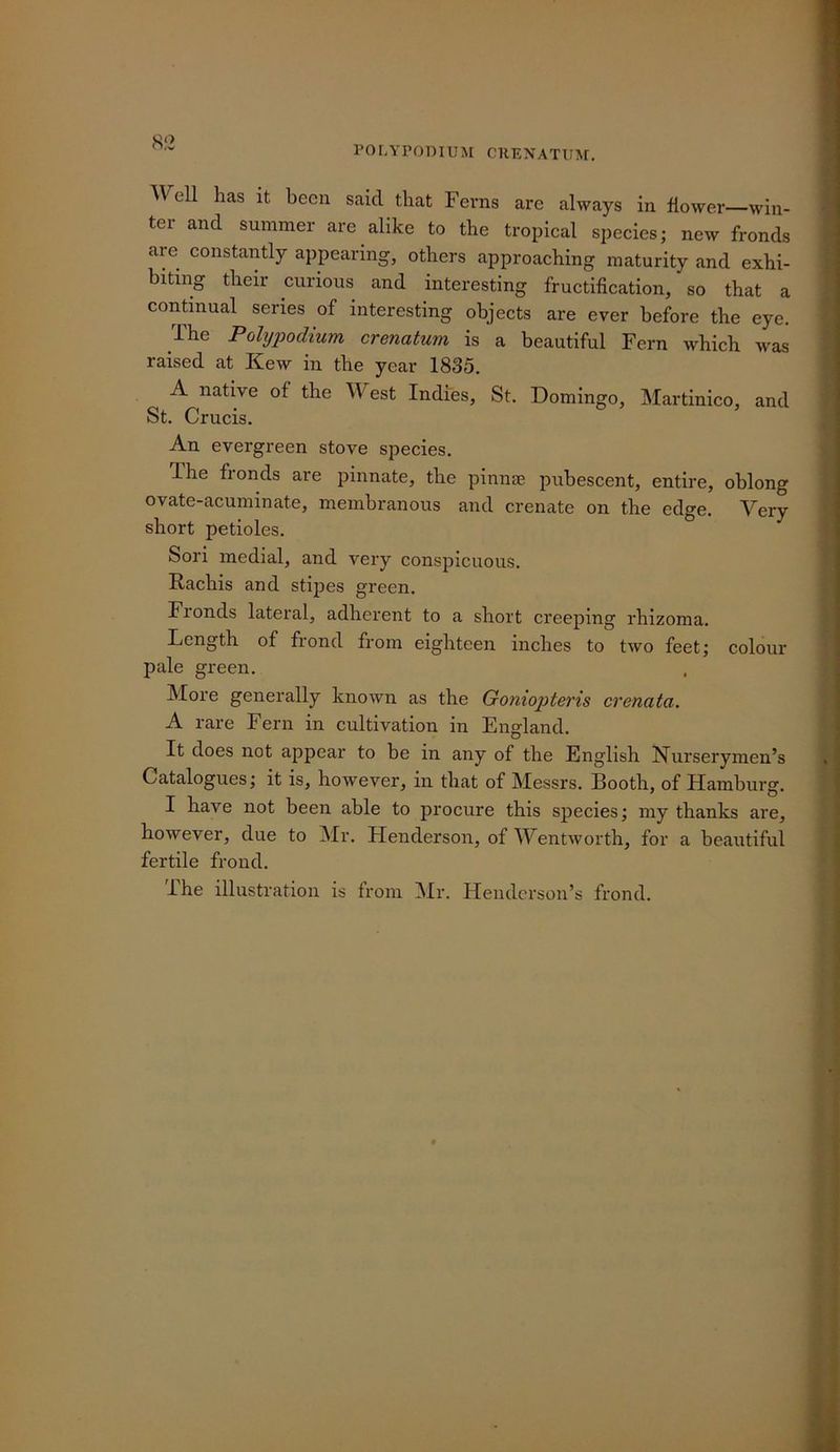 8;2 POr.YPODIUM CUENATUM. AVell has it been said that Fevns are always in flower—win- ter and summer are alike to the tropical species; new fronds are constantly appearing, others approaching maturity and exhi- biting their curious and interesting fructification, so that a continual series of interesting objects are ever before the eye. [ The Polypodium crenatum is a beautiful Fern which was raised at Kew in the year 1835. | A native of the West Indies, St. Domingo, Martinico, and } St. Crucis. i- An evergreen stove species. f The fronds are pinnate, the pinnaB pubescent, entire, oblong I ovate-acuminate, membranous and crenate on the edge. Very I short petioles. * Sori medial, and very conspicuous. • Rachis and stipes green. p Fronds lateral, adherent to a short creeping rhizoma. \ Length of frond from eighteen inches to two feet; colour ^ pale green. . p More generally known as the Goniopteris crenata. A rare Fern in cultivation in England. It does not appear to be in any of the English Nurserymen’s Catalogues; it is, however, in that of Messrs. Booth, of Hamburg. I have not been able to procure this species; my thanks are, however, due to Mr. Henderson, of Wentworth, for a beautiful fertile frond. The illustration is from INIr. Henderson’s frond.