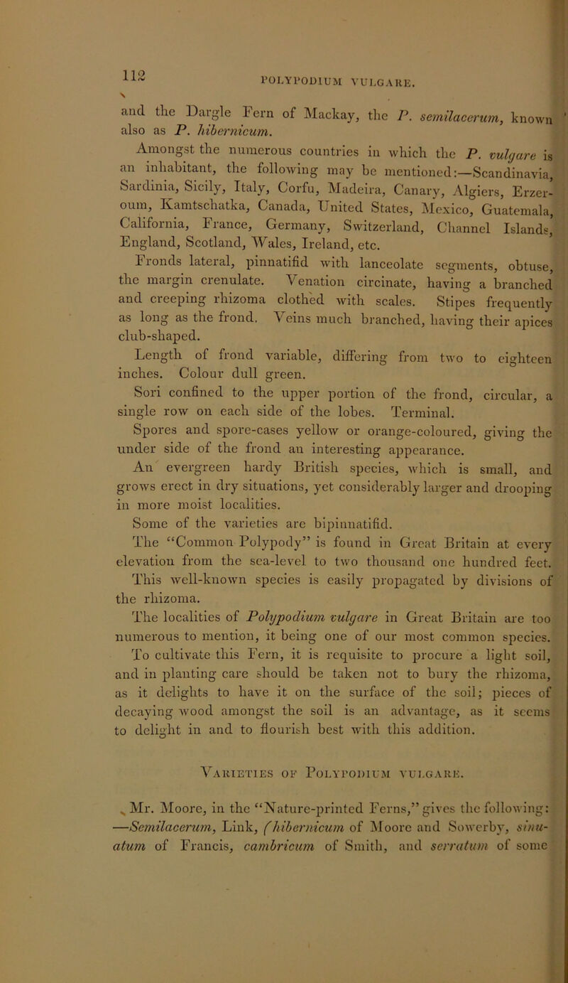 rOLYPODlUM VUl.GAllE. \ and tlie Dargle lern of Mackay, the P. semilacerum, known ' also as P. hihei'nicum. Amongst the numerous countries in which the P. vulgare is an inhabitant, the following may be mentioned:—Scandinavia, Sardinia, Sicily, Italy, Corfu, Madeira, Canary, vVlgiers, Erzer- oum, Kamtschatka, Canada, United States, Mexico, Guatemala, California, hiance, Germany, Switzerland, Channel Islands, England, Scotland, Wales, Ireland, etc. Fronds lateral, pinnatifid with lanceolate segments, obtuse, the margin crenulate. Venation circinate, having a branched and creeping rhizoma clothed with scales. Stipes frequently as long as the frond, \ eins much branched, having their apices club-shaped. Length of frond variable, differrng from two to eighteen inches. Colour dull green, Sori confined to the upper portion of the frond, circular, a single row on each side of the lobes. Terminal. Spores and spore-cases yellow or orange-coloured, giving the under side of the frond an interesting appearance. An evergreen hardy British species, which is small, and grows erect in dry situations, yet considerably larger and drooping in more moist localities. Some of the varieties arc bipinnatifid. The “Common Polypody” is found in Great Britain at every elevation from the sea-level to two thousand one hundred feet. This Avell-known species is easily proj^agated by divisions of the rhizoma. The localities of Polypodium vulgare in Great Britain are too numerous to mention, it being one of our most common species. To cultivate this Fern, it is requisite to procure a light soil, and in planting care should be taken not to bury the rhizoma, as it delights to have it on the surface of the soil; pieces of decaying wood amongst the soil is an advantage, as it seems to delight in and to flourish best with this addition. Varieties of PoLYromuM vui.gakk. Mr. Moore, in the “Nature-printed Ferns,” gives the following: —Semilacerum, Link, f hibernicum of ]\loorc and Soiverby, siuti- atum of Francis, camhricum of Smith, and serratum of some
