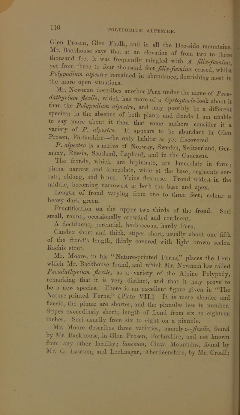 POLYPOmiTM ALPESTUE. Glen Fro.cn, Glen Fiadh, and in all the Doe-side mountains. Mr. Backhouse says that at an elevation of from two to three thousand feet it was frequently mingled with A. filix-fonmina, yet from three to four thousand icet fiUx-famina ceased, whilst Polypodmm alpestre remained in abundance, flourishing most in the more open situations. Mr. Newman describes another Fern under the name of Pseu- datJiijrium Jiexile, has more of a Cystopteris-\ook dbont\t than the Polypodium alpestre, and may possibly be a different species; in the absence of both plants and fronds I am unable to say more about it than that some authors consider it a variety of P. alpestre. It appears to be abundant in Glen. Prosen, Foi-farshire—the only habitat as yet discovered. P. alpestre is a native of Norway, Sweden, Switzerland, Ger- many, Russia, Scotland, Lapland, and in the Caucasus. Ihe fronds, which are bipinnate, are lanceolate in form; pinna) narrow and lanceolate, wide at the base, segments ser- rate, oblong, and blunt. Veins flexuose. Frond widest in the middle, becoming narrowest at both the base and apex. Length of frond varying from one to three feet; colour a heavy dark green. Fructification on the upper two thirds of the frond. Sori small, round, occasionally crowded and confluent. A deciduous, perennial, herbaceous, hardy Fern. Caudex short and thick, stipes short, usually about one fifth of the frond s length, thinly covered with light brown scales. Rachis stout. Mr. Moore, in his “Nature-printed Ferns,” places the Fern Wiiich Mr. Backhouse found, and which Mr. Newman has called Pseudathyrium flexile, as a variety of the Alpine Polypody, remarking that it is very distinct, and that it may prove to be a new species, ihere is an excellent figure given in “The Natuie-printed Terns,’ (Plate VII.) It is more slender and flaccid, the pinna) are shorter, and the pinnules less in number. Stipes exceedingly short; length of frond from six to eighteen inches. Sori usually from six to eight on a pinnule. Mr. Moore describes three varieties, v-dimely:—flexile, found by Mr. Backhouse, in Glen Prosen, Forfarshire, and not known from any other locality; lanccum, Clova IMountains, found by Mr. G. Lawson, and Lochnagar, Aberdeenshire, by Mr. Croall;