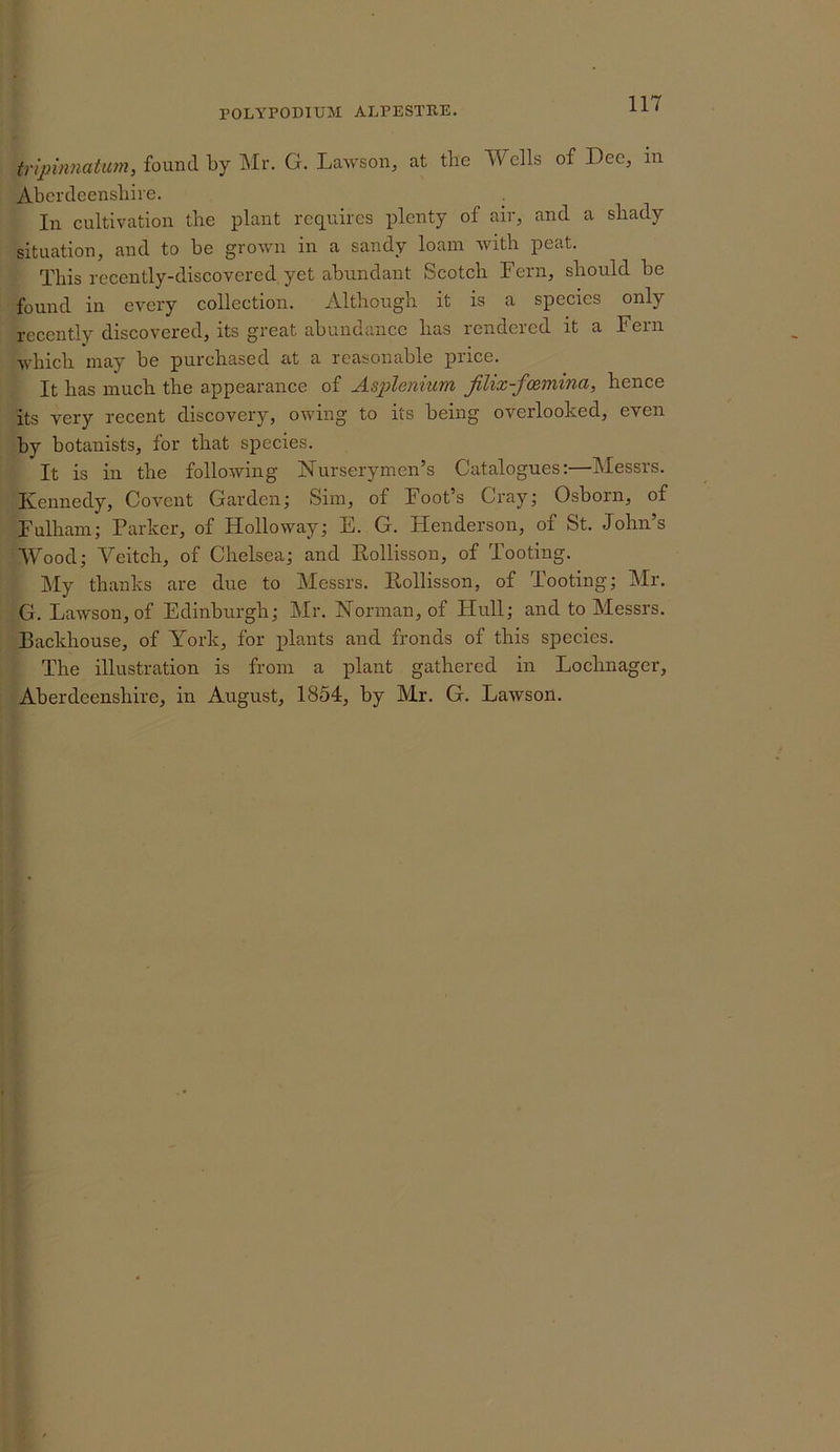 tripuwatum, found by Mr. G. Lawson, at the Wells of Dec, in Aberdeensliire. , In cultivation the plant requires plenty of air, and a shady situation, and to be grown in a sandy loam with peat. This recently-discovered yet abundant Scotch Fern, should be found in every collection. Although it is a species only recently discovered, its great abundance has rendered it a Fern which may be purchased at a reasonable price. It has much the appearance of Asplenium jilix-feemina, hence its very recent discovery, owing to its being overlooked, even by botanists, for that species. It is in the following Nurserymen’s Catalogues:—Messrs. Kennedy, Covent Garden; Sim, of Foot’s Cray; Osborn, of Fulham; Parker, of Holloway; E. G. Henderson, of St. John’s Wood; Veitch, of Chelsea; and Eollisson, of Tooting. IMy thanks are due to Messrs. Eollisson, of Tooting; Mr. G. Lawson, of Edinburgh; Mr. Norman, of Hull; and to Messrs. Backhouse, of York, for plants and fronds of this species. The illustration is from a plant gathered in Lochnager, Aberdeenshire, in August, 1854, by Mr. G. Lawson.
