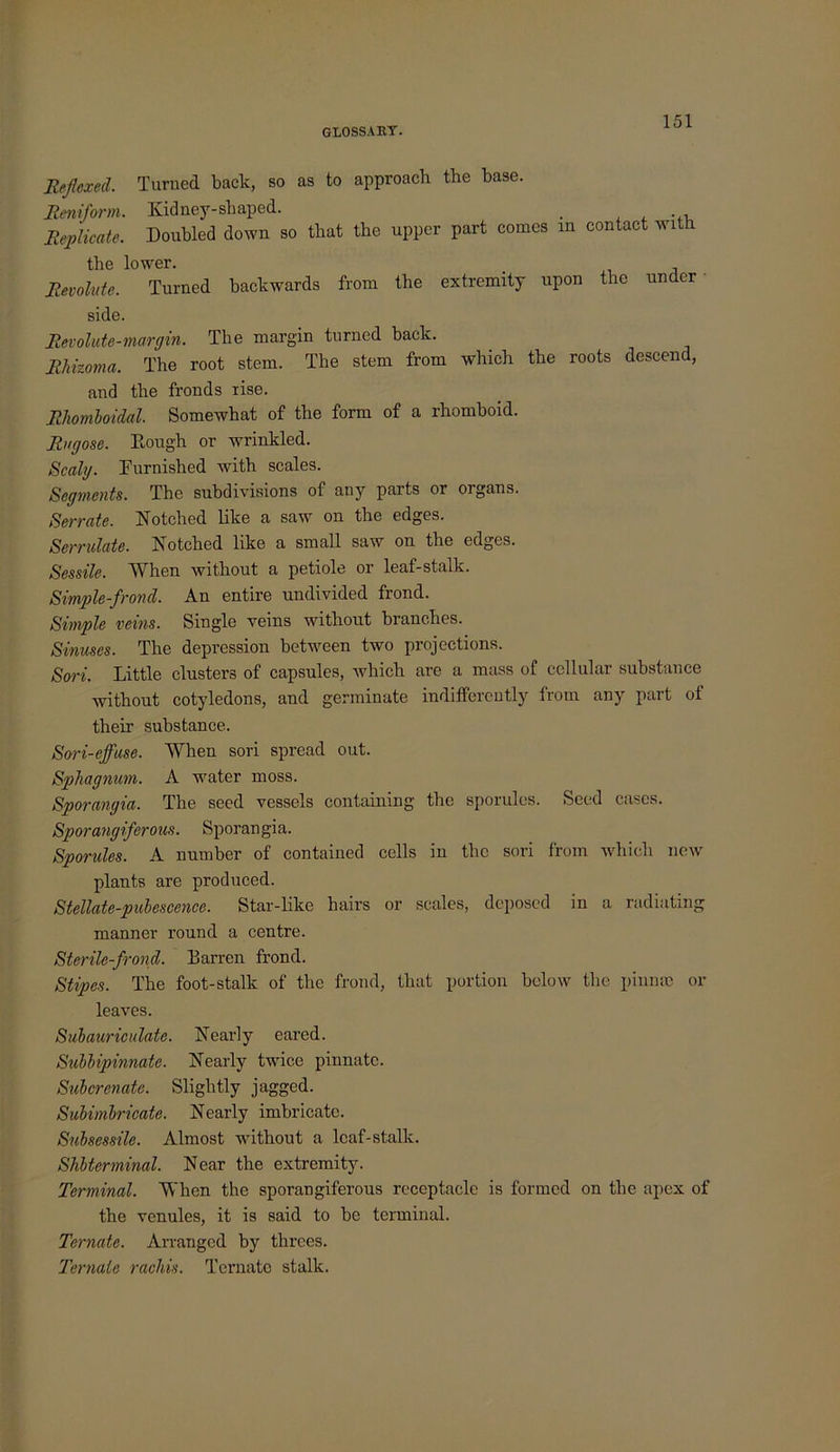 Rffiexed. Turned back, so as to approach the base. Reniform. Kidney-shaped. . ^ -.i. Replicate. Doubled down so that the upper part comes in contact with the lower. _ i . Revolute. Turned backwards from the extremity upon the under side. Revolute-margin. The margin turned back. Rhizoma. The root stem. The stem from which the roots descend, and the fronds rise. Rliomloidal. Somewhat of the form of a rhomboid. Rugose. Eough or wrinkled. Scaly. Furnished with scales. Segments. The subdivisions of any parts or organs. Serrate. Notched like a saw on the edges. Serrulate. Notched like a small saw on the edges. Sessile. When without a petiole or leaf-stalk. Simple-frond. An entire undivided frond. Siinple veins. Single veins without branches. Sinuses. The depression between two projections. Sort. Little clusters of capsules, which are a mass of cellular substance without cotyledons, and germinate indifferently from any part of their substance. Sori-ejfuse. When sori spread out. Sphagnum. A water moss. Sporangia. The seed vessels containing the sporulcs. Seed cases. Sporangiferous. Sporangia. Sporules. A number of contained cells in the sori from which new plants are produced. Stellate-pubescence. Star-like hairs or scales, deposed in a radiating manner round a centre. Sterile-frond. Barren frond. Stipes. The foot-stalk of the frond, that portion below the pinruc or leaves. Sulauriculate. Nearly eared. Subbipinnate. Nearly twice pinnate. Suberenate. Slightly jagged. Subimbricate. Nearly imbricate. Subsessile. Almost without a leaf-stalk. Shbterminal. Near the extremity. Terminal. When the sporangiferous receptacle is formed on the apex of the venules, it is said to be terminal. Ternate. Arranged by threes. Ternale racliis. Ternate stalk.
