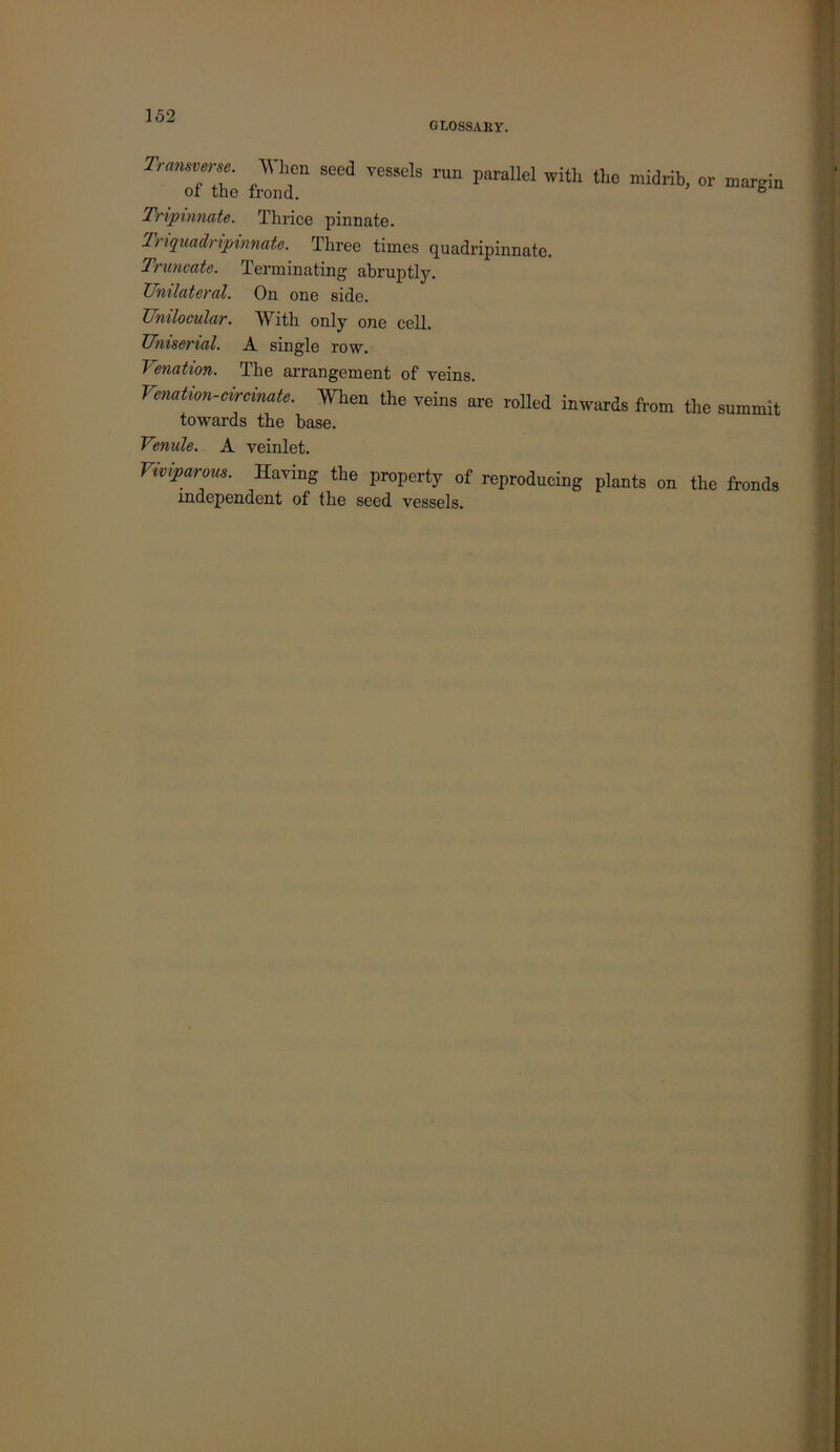 GLOSSAHY. fren'r ™ Tnpmnate. Thrice pinnate. Tnquadnpvmafe. Three times quadripinnate. TTuncate. Terminating abruptly. Unilateral. On one side. Unilocular. With only one cell. Umserial. A single row. Venation. The arrangement of veins. Venation-circmate. When the veins are rolled inwards from the summit towards the base. Venule. A veinlet. Viviparous. Having the property of reproducing plants on the fronds independent of the seed vessels.