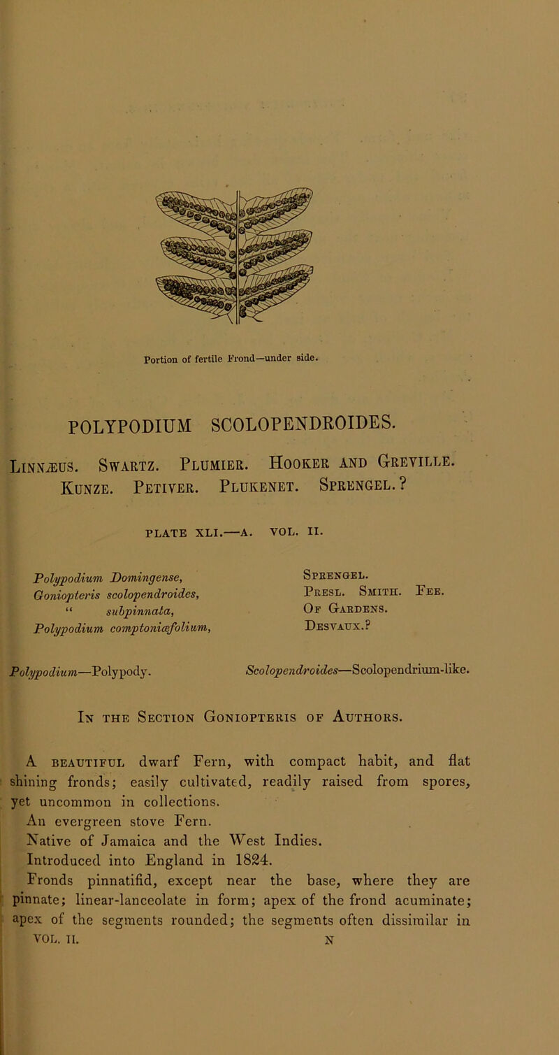 Portion of fertile Frond—under side. POLYPODIUM SCOLOPENDROIDES. LiNNiEUS. Swartz. Plumier. Hooker and G-reville. Kunze. Petiver. Plukenet. Sprengel. ? PLATE XLI. A. VOL. II. Polypodium Domingense, Goniopteris scolopendroides, “ subpinnata, Polypodium comptoniccfolium, Polypodium—Polypody. Spkengel. PresIi. Smith. Pee. Of G-abdens. Desvaux.? Sco lopendro ides—Scolopendrium-like. In the Section Goniopteris of Authors. A beautiful dwarf Fern, with compact habit, and flat shining fronds; easily cultivated, readily raised from spores, yet uncommon in collections. An evergreen stove Fern. Native of Jamaica and the West Indies. Introduced into England in 1824. Fronds pinnatifid, except near the base, where they are pinnate; linear-lanceolate in form; apex of the frond acuminate; apex of the segments rounded; the segments often dissimilar in VOL. II. N