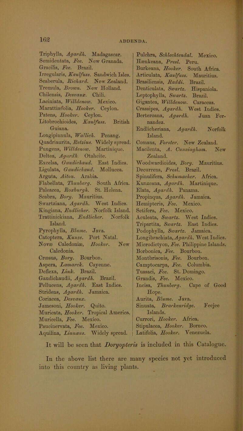 Triphylla, Agardh. Madagascar. Semidentata, Fee. Now Granada. Gracilis, Fee. Brazil. Irregularis, Kaulfuss. Sandwich Isles. Scaberula, Richard. Now Zealand. Tremula, Brown. New Holland. Chilensis, Desvaux. Chili. Laciniata, Willdenow. Mexico. Marattiffifolia, Hooker. Ceylon. Patens, Hooker. Ceylon. Litobrochioides, Kaulfuss. British Guiana. Longipinnula, Wallich. Penang. Quadriaurita, Retzius. Widely spread. Pungens, Willdenow. Martinique. Deltea, Agardh. Otaheite. Excelsa, Gaudichaud. East Indies. Ligulata, Gaudichaud. Mollucca. Arguta, Alton. Arabia. Flabellata, Thunherg. South Africa. Paleacea, Roxburgh. St. Helena. Scabra, Borg. Mauritius. Swartziana, Agardh. West Indies. Kingiana, Endlicher. Norfolk Island. Trattinickiana, Endlicher. Norfolk Island. Pyrophylla, Bltune. Java. Catoptera, Kunze. Port Natal. Novae Caledonia), Hooker. New Caledonia. Croesus, Borg. Bourbon. Aspera, Lamarck. Cayenne. Deflexa, Link. Brazil. Gaudichaudii, Agardh. Brazil. Pellucens, Agardh. East Indies. Stridens, Agardh. Jamaica. Coriacea, Desvaux. Jamesoni, Hooker. Quito. Muricata, Hooker. Tropical America. Muricella, Fee. Mexico. Paucinervata, Fee. Mexico. Aquilina, Linnceus. Widely spread. Pulchra, Schlechtendal. Mexico. Ilsenkeana, Presl. Peru. Burkeana, Hooker. South Africa. Articulata, Kaulfuss. Mauritius. Brasiliensis, Raddi. Brazil. Denticulate, Swartz. Hispaniola. Leptophylla, Swartz. Brazil. Gigantea, Willdenow. Caraccas. Crassipes, Agardh. West Indies. Berteroana, Agardh. Juan Fer- nandez. Endlicheriana, Agardh. Norfolk Island. Comans, Forster. New Zealand. Macilenta, A. Cunningham. New Zealand. Woodwardioides, Borg. Mauritius. Decurrens, Presl. Brazil. Spinulifera, Schumacher. Africa. Kunzeana, Agardh. Martinique. Elata, Agardh. Panama. Propinqua, Agardh. Jamaica. Hemipteris, Fee. Mexico. Setifera, Fee. Mexico. Aculeata, Swartz. West Indies. Tripartita, Swartz. East Indies. Podophylla, Swartz. Jamaica. Longibracliiata, Agardh. West Indies. Microdictyon, Fee. Philippine Islands. Borbonica, Fee. Bourbon. Montbrisonis, Fee. Bourbon. Camptocarpa, Fee. Columbia. Tussaci, Fee. St. Domingo. Grandis, Fee. Mexico. Incisa, Thunherg. Cape of Good Hope. Aurita, Blume. Java. Sinuata, Brackenridge. Feejee Islands. Currori, Hooker. Africa. Stipulacea, Hooker. Borneo. Latifolia, Hooker. Venezuela. It will be seen that Doryopteris is included in this Catalogue. In the above list there are many species not yet introduced into this country as living plants.