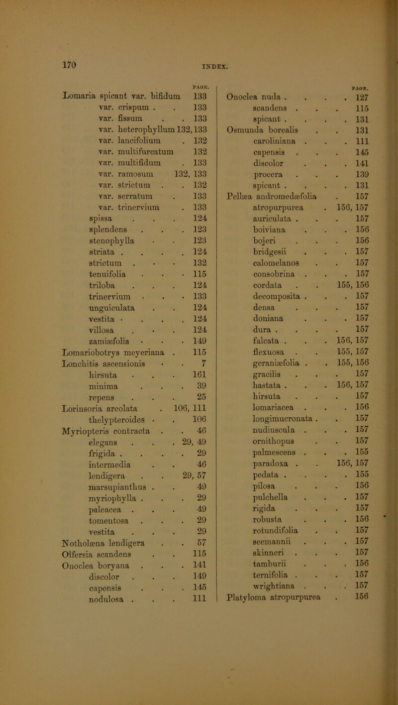 PAGE. Lomaria spicant var. bifidum 133 var. crispum . . 133 var. fissum . . 133 var. heteropliyllum 132,133 var. lancifolium . 132 var. multi furcaturn 132 var. multifidum . 133 var. ramosum 132, 133 var. strictum . . 132 var. serratum . 133 var. trinervium . 133 spissa . . . 124 splendens . . . 123 stenopbylla • . 123 striata .... 124 strictum . • • 132 tenuifolia • • • 115 triloba . . . 124 trinervium • . *133 unguiculata . . 124 vestita • . . . 124 villosa . • . 124 zamiaefolia • • • 149 Lomariobotrys meyeriana . 115 Loncbitis ascensionis • . 7 birsuta . . . 161 minima ... 39 repens ... 25 Lorinsoria areolata . 106, 111 tbelypteroides • . 106 Myriopteris contracta . . 46 elegans . . . 29, 49 frigida . . . . 29 intermedia . . 46 lendigera . . 29, 57 marsupiantkus . . 49 myriophylla ... 29 paleacea ... 49 tomentosa ... 29 vestita ... 29 Notbolsena lendigera . . 57 Olfersia scandens . . 115 Onoelea boryana . . . 141 discolor . . . 149 capensis . . . 145 nodulosa . . . Ill Onoelea nuda . PACK. . 127 scandens . 115 spicant . . 131 Osmunda borealis 131 caroliniana . . Ill capensis 145 discolor . 141 procera 139 spicant . . 131 Pellaea andromedae folia 157 atropurpurea 156, 157 auriculata . 157 boiviana . 156 bojeri . 156 bridgesii . 157 calomelanos 157 consobrina . . 157 cordata 155, 156 decomposita . . 157 densa 157 doniana . 157 dura . 157 falcata . 156, 157 flexuosa 155, 157 geranisefolia . 155, 156 gracilis 157 bastata . 156, 157 birsuta 157 lomariacea . 156 longimucronata . 157 nudiuscula . . 157 ornitbopus 157 palmescens . . 155 paradoxa . 156, 157 pedata . . 155 pilosa 156 pulcbella . 157 rigida 157 robusta . 156 rotundifolia 157 seemannii . 157 skinneri 157 tamburii . 156 ternifolia . 157 wrightiana . . 157 Platyloma atropurpurea 156