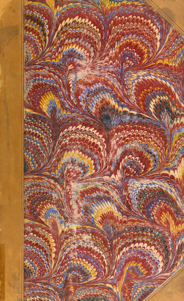 No text description is available for this image