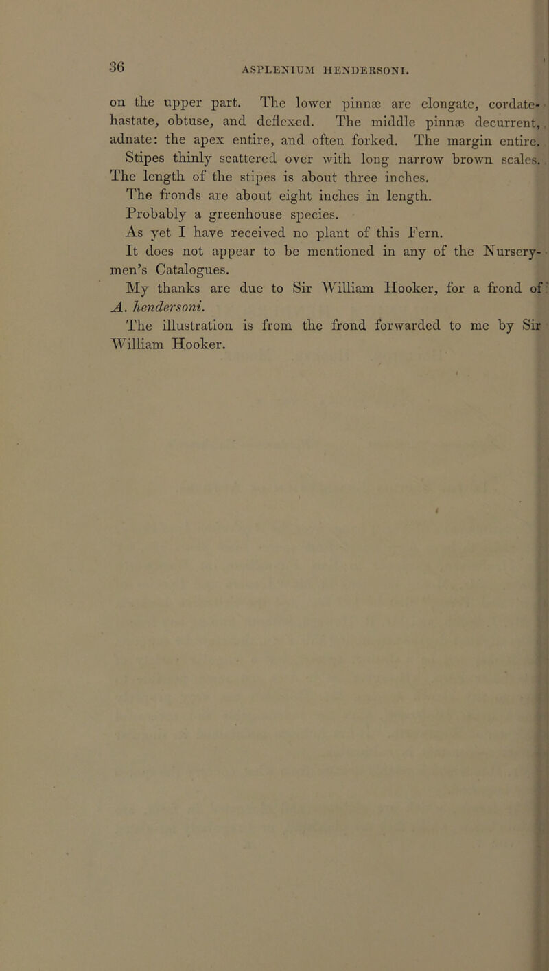 ASPLENITJM HENDERSONI. on the upper part. The lower pinnce are elongate, cordate- hastate, obtuse, and deflcxcd. The middle pinnse decurrent, adnate: the apex entire, and often forked. The margin entire. Stipes thinly scattered over with long narrow brown scales. The length of the stipes is about three inches. The fronds are about eight inches in length. Probably a greenhouse species. As yet I have received no plant of this Fern. It does not appear to be mentioned in any of the Nursery- men’s Catalogues. My thanks are due to Sir AVilliam Hooker, for a frond of A. Rendersoni. The illustration is from the frond forwarded to me by Sir AVilliam Hooker.