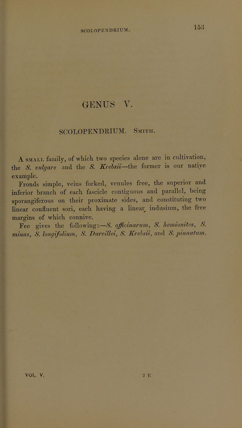 scolopendrium. GENUS V SCOLOPENDRIUM. Smith. A small family, of which, two species alone are in cultivation, the S'. vulrjare and the S. Krebsii—the former is our native example. Fronds simple, veins forked, venules free, the superior and inferior branch of each fascicle contiguous and parallel, being sporangiferous on their proximate sides, and constituting two linear confluent sori, each having a linear indusium, the free margins of which connive. Fee gives the following:—S', officinarum, S. hemionites. S', minus. S', longifolium, S'. Durmllei, S'. Krebsii, and S. pomatum.