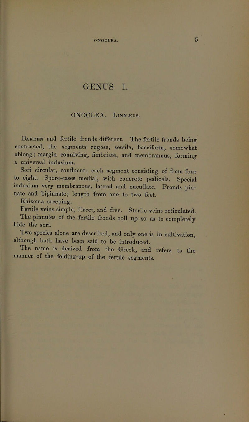 GENUS I. ONOCLEA. Linnaeus. Barren and fertile fronds different. The fertile fronds beinsr contracted, the segments rugose, sessile, bacciform, somewhat oblong; margin conniving, fimbriate, and membranous, forming a universal indusium. Sori circular, confluent; each segment consisting of from four to eight. Spore-cases medial, with concrete pedicels. Special indusium very membranous, lateral and cucullate. Fronds pin- nate and bipinnate; length from one to two feet. Rhizoma creeping. Fertile veins simple, direct, and free. Sterile veins reticulated. Ihe pinnules of the fertile fronds roll up so as to completely hide the sori. Two species alone are described, and only one is in cultivation, although both have been said to be introduced. The name is derived from the Greek, and refers to the manner of the folding-up of the fertile segments.