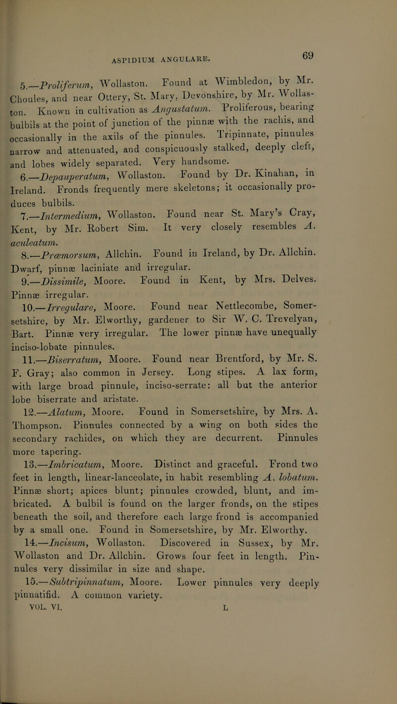 5 Proliferum, Wollaston. Found at Wimbledon, by Mr. Choules, and near Ottery, St. Mary, Devonshire, by Mr. Wollas- ton. Known in cultivation as Angustatwn. Proliferous, bearing bulbils at the point of junction of the pinnae with the rachis, and occasionally in the axils of the pinnules. Tfipinnate, pinnules narrow and attenuated, and conspicuously stalked, deeply cleft, and lobes widely separated. Very handsome. 6. —Depauperatum, Wollaston. Found by Dr. Kinahan, in Ireland. Fronds frequently mere skeletons; it occasionally pro- duces bulbils. 7. —Intermedium, Wbllaston. Found near St. Maiy s Ciay, Kent, by Mr. Robert Sim. It very closely resembles A. aculeatum. —Prcemorsum, Allchin. Found in Ireland, by Dr. Allchin. Dwarf, pinnae laciniate and irregular. 9]—Dissimile, Moore. Found in Kent, by Mrs. Delves. Pinnae irregular. 10. —Irregulare, Moore. Found near Nettlecombe, Somer- setshire, by Mr. El worthy, gardener to Sir W. C. Trevelyan, Bart. Pinnae very irregular. The lower pinnae have unequally inciso-lobate pinnules. 11. —Biserratum, Moore. Found near Brentford, by Mr. S. F. Gray; also common in Jersey. Long stipes. A lax form, with large broad pinnule, inciso-serrate: all but the anterior lobe biserrate and aristate. 12. —Alatum, Moore. Found in Somersetshire, by Mrs. A. Thompson. Pinnules connected by a wing on both sides the secondary rachides, on which they are decurrent. Pinnules more tapering. 13. —Imbricatum, Moore. Distinct and graceful. Frond two feet in length, linear-lanceolate, in habit resembling A. lobatum. Pinnse short; apices blunt; pinnules crowded, blunt, and im- bricated. A bulbil is found on the larger fronds, on the stipes beneath the soil, and therefore each large frond is accompanied by a small one. Found in Somersetshire, by Mr. Elworthy. 14. —Incisum, Wollaston. Discovered in Sussex, by Mr. Wollaston and Dr. Allchin. Grows four feet in length. Pin- nules very dissimilar in size and shape. 15. — Subtripinnatum, Moore. Lower pinnules very deeply pinnatifid. A common variety. VOL. VI. L