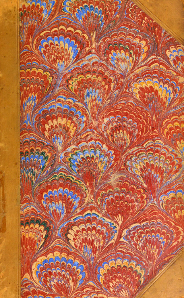 No text description is available for this image