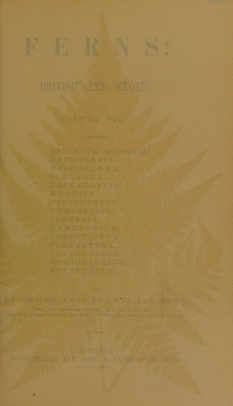 7- 1^ c ^^1 . -'i:>?* •>*!K . V i V'lJ. . , ' i Ar » « % ■)- • y J.V, ■- HV mDT,i^ Tria. N A. F/rHJuo L'Eria WO.OI^STA. ‘^:^\.,;ic;em-i a-KX-f is. O'jfji j* ^ it S T A* ^ i>U AUEO ^Tl CH XI-V. ■; 'Xi^O,A.,/SpTRV^'^’= xciri 't os^s M •V : 1 < > *--Jv »i; * ■^’’r I < ni,:,fi Ks«., k;s,-vjs,. f!g 3.,;ri >.AXX'm. h. vi W, ' ii»ii..'>«^ l>-4i>i» ?i*t, r-», i5oc, J54K,, « ... ><wi Lfifc, *#11 rv.8. ,'®. % ‘ ;n^0<-;yapuba‘i5 t SO.^f*. I5. i-^TiiiV Oi?rpt • Ifovy:. . K 5^C V- ' ^ .-;3