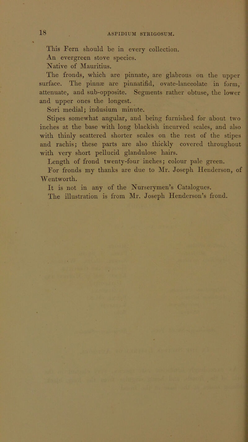 18 ASriDlUM STIUGOSUM. This Fern should he in every collection. An evergreen stove species. Native of Mauritius. The fronds, which are pinnate, are glabrous on the upper surface. The pinufe are pinnatifid, ovate-lanceolate in form, attenuate, and sub-opposite. Segments rather obtuse, the lower and upper ones the longest. Sori medial; indusium minute. Stipes somewhat angular, and being furnished for about two inches at the base with long blackish incurved scales, and also with thinly scattered shorter scales on the rest of the stipes and rachis; these parts are also thickly covered throughout with very short pellucid glandulose hairs. Length of frond twenty-four inches; colour pale green. For fronds my thanks are due to Mr. Joseph Henderson, of Wentworth. It is not in any of the Nurserymen’s Catalogues. The illustration is from Mr, Joseph Henderson’s frond.