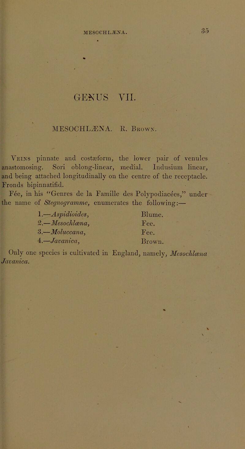 MESOCHL-liXA. So GENUS VII. MESOCHL^NA. li. Bkowx. Veins pinnate and costsefonn, the lower pair of venules anastomosing. Sori oblong-linear, medial, Indusium linear, and being attached longitudinally on the centre of the receptacle. Fronds bipinnatifid. Fee, in his “Genres de la Famille des Polypodiacees,” under the name of Stegnogramme, enumerates the following:— 1. —Aspidioides, Blume. 2. —MesocJilccna, Fee. 3. —Moluccana, Fee. 4. —Javanica, Brown, Only one species is cultivated in England, namely, Mesochlcena Jatanica.