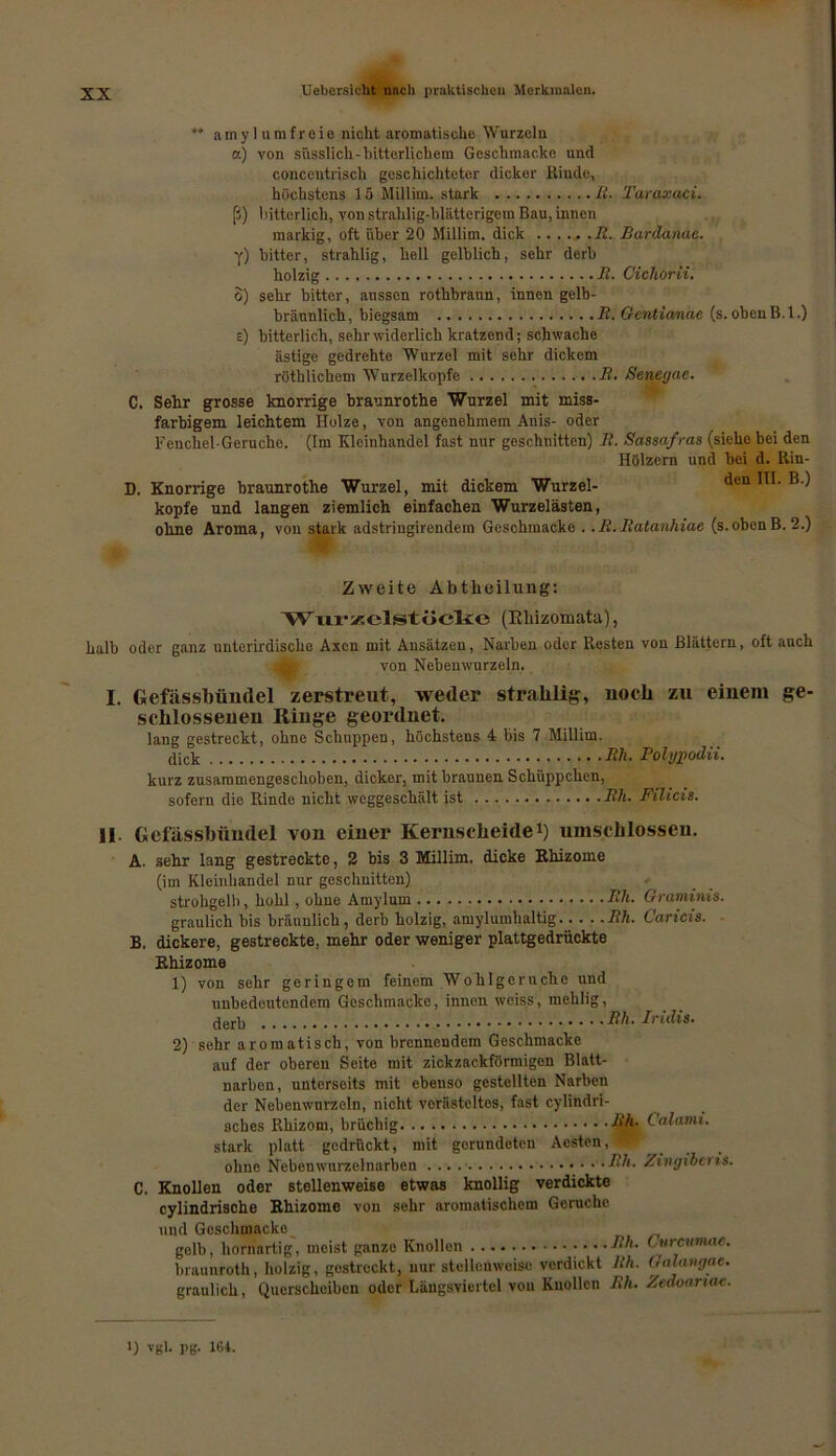 amylumfreie nicht aromatische Wurzeln a) von sftsslich-bitterlichem Geschmacke und conccutrisch geschichteter dicker Kinde, höchstens 15 Millim. stark R. Taraxaci. ß) bitterlich, von strahlig-blätterigern Bau, innen markig, oft über 20 Millim. dick ...... .R. Bardanae. y) bitter, strahlig, hell gelblich, sehr derb holzig li. C'ichorii. o) sehr bitter, aussen rothbraun, innen gelb- bräinnlicli, biegsam R. Gentianae (s. obeuB.l.) c) bitterlich, sehr widerlich kratzend; schwache ästige gedrehte Wurzel mit sehr dickem röthlichem Wurzelkopfe R. Senegae. C. Sehr grosse knorrige braunrothe Wurzel mit miss- farbigem leichtem Holze, von angenehmem Anis- oder 1'enchel Geruche. (Im Kleinhandel fast nur geschnitten) R. Sassafras (siehe bei den Hölzern und bei d. Rin- D. Knorrige braunrothe Wurzel, mit dickem Wurzel- den III. B.) köpfe und langen ziemlich einfachen Wurzelästen, ohne Aroma, von stark adstriugirendem Geschmacke . .R.Ratanhiae (s.obcnB. 2.) Zweite Abtheilung: 'Wiix* vielst ticke (Ehizomata), halb oder ganz unterirdische Axen mit Ansätzen, Narben oder Resten von Blättern, oft auch von Nebeuwurzeln. I. Gefässhündel zerstreut, weder strahlig, noch zu einem ge- schlossenen Ringe geordnet. laug gestreckt, ohne Schuppen, höchstens 4 bis 7 Millim. dick Rh. Polypodii. kurz zusammengeschoben, dicker, mit braunen Schüppchen, sofern die Rinde nicht weggeschält ist Rh. Filicis. 11 Gclassbüudel von einer Kernscheide1) umschlossen. A. sehr lang gestreckte, 2 bis 3 Millim. dicke Rhizome (im Kleinhandel nur geschnitten) strohgelb, hohl, ohne Amylurn Sh. Graminis. graulich bis bräunlich, derb holzig, amylumhaltig Rh. Caricis. B. dickere, gestreckte, mehr oder weniger plattgedriickte Rhizome 1) von sehr geringem feinem Wohlgeruche und unbedeutendem Geschmacke, innen weiss, mehlig, derb Rh■ Iridis. 2) sehr aromatisch, von brennendem Geschmacke auf der oberen Seite mit zickzackförmigen Blatt- narben, unterseits mit ebenso gestellten Narben der Nebenwnrzeln, nicht verästeltes, fast cylindri- aches Rhizom, brüchig Uh- Calami. stark platt gedrückt, mit gerundeten Aesten, ohne Nebenwurzelnarben . .. • • - Uh. Zingiberis. C. Knollen oder stellenweise etwas knollig verdickte cylindrische Rhizome von sehr aromatischem Gerüche und Geschmacke gelb, hornartig, meist ganze Knollen • ■ -Uh. ( urcumae. brnunroth, holzig, gestreckt, nur stellenweise verdickt Rh. Galangae. graulich, Querscheiben oder Längsviertcl von Knollen Rh. Zedoanae.
