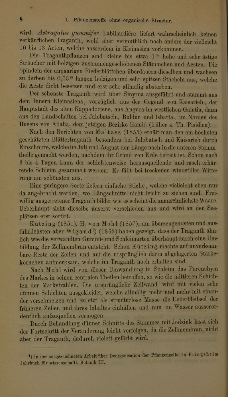 wird. Astragalus gummifer Labillardiere liefert wahrscheinlich keinen verkäuflichen Traganth, wohl aber vermuthlich noch andere der vielleicht 10 bis 13 Arten, welche ausserdem in Kleinasien Vorkommen. Die Tragauthpflanzen sind kleine bis etwa l1 hohe und sehr ästige Sträucher mit holzigen zusammengeschobeuen Stämmchen und Aesten. Die Spindeln der uupaarigen Fiederblättchen überdauern dieselben und wachsen zu derben bis 0,03 m langen holzigen und sehr spitzen Stacheln aus, welche die Aeste dicht besetzen und erst sehr allmälig absterben. Der schönste Traganth wird über Smyrna ausgeführt und stammt aus dem Innern Kleinasiens, vorzüglich aus der Gegend von Kaisarieh, der Hauptstadt des alten Kappadociens, aus Angura im westlichen Galatia, dann aus den Landschaften bei Jalobatsch, Buldur und Isbarta, im Norden des Busens von Adalia, dem jetzigen Bezirke Hamid (früher z. Th. Pisidien). Nach den Berichten von Maltass (1855) erhält man den am höchsten geschätzten Blättertraganth besonders bei Jalobatsch und Kaisarieh durch Einschnitte, welche im Juli und August der Länge nach in die unteren Stamm- theile gemacht werden, nachdem ihr Grund von Erde befreit ist. Schon nach 3 bis 4 Tagen kann der schichtenweise herausquellende und rasch erhär- tende Schleim gesammelt werden. Er fällt bei trockener windstiller Witte- rung am schönsten aus. Eine geringere Sorte liefern einfache Stiche, welche vielleicht eben nur da angebracht werden, wo Längschnitte nicht leicht zu ziehen sind. Frei- willig ausgetretener Traganth bildet wie es scheint die unansehnlichste Waare. Ueberhaupt sieht dieselbe äuserst verschieden aus und wird an den See- plätzen erst sortirt. Kützing (1851), H. von Mo hl (1857), am überzeugendsten und aus- führlichsten aber Wigand1) (1862) haben gezeigt, dass der Traganth ähn- lich wie die verwandten Gummi- und Schleimarten überhaupt durch eine Um- bildung der Zellmembran entsteht. Schon Kützing machte auf unverkenn- bare Reste der Zellen und auf die ursprünglich darin abgelagerten Stärke- körnchen aufmerksam, welche im Traganth noch erhalten sind. Nach Mohl wird von dieser Umwandlung in Schleim das Parenchym des Markes in seinen centralen Theileu betroffen, so wie die mittleren Schich- ten der Markstrahlen. Die ursprüngliche Zellwand wird mit vielen sehr dünnen Schichten ausgekleidet, welche allmälig mehr und mehr mit einan- der verschmelzen und zuletzt als structurlose Masse die Ueberbleibsel der früheren Zelleu und ihres Inhaltes einhüllen und nun im W asser ausseror- dentlich aufzuquellen vermögen. Durch Behandlung dünner Schnitte des Stammes mit Jodzink lässt sich der Fortschritt der Veränderung leicht verfolgen, da die Zellmembran, nicht aber der Traganth, dadurch violett gefärbt wird. 1) In der ausgezeichneten Arbeit über Deorganisation der Pflanzenzelle, in Pringsheim Jahrbuch für wissenschaftl. Botanik III.