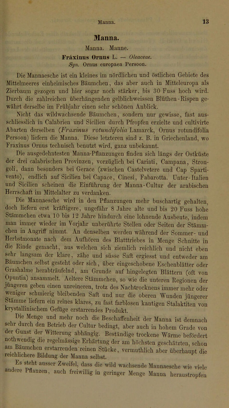 Manna. Manna. Manne. Fräxinus Ornus L. — Oleaceae. Syn. Ornus europaea Persoon. Die Mannaesche ist ein kleines im nördlichen und östlichen Gebiete des Mittelmeeres einheimisches Bäumchen, das aber auch in Mitteleuropa als Zierbaum gezogen und hier sogar noch stärker, bis 30 Fuss hoch wird. Durch die zahlreichen überhängenden gelblichweissen Blüthen-Rispen ge- währt derselbe im Frühjahr einen sehr schönen Anblick. Nicht das wildwachsende Bäumchen, sondern nur gewisse, fast aus- schliesslich in Calabrien und Sicilien durch Pfropfen erzielte und cultivirte Abarten derselben (Fräxinus rotundifolici Lamarck, Ornus rotundifolia Persoon) liefern die Manna. Diese letzteren sind z. B. in Griechenland, wo Fräxinus Ornus technisch benutzt wird, ganz unbekannt. Die ausgedehntesten Manna-Pflanzungen finden sich längs der Ostküste der drei calabrischen Provinzen, vorzüglich bei Cariati, Campana, Stron- goli, dann besonders bei Gerace (zwischen Castelvetere und Cap Sparti- vento), endlich auf Sicilien bei Capace, Cinesi, Fabarotta. Unter-Italien und Sicilien scheinen die Einführung der Manna-Cultur der arabischen Herrschaft im Mittelalter zu verdanken. Die Mannaesche wird in den Pflanzungen mehr buschartig gehalten, doch liefern erst kräftigere, ungefähr 8 Jahre alte und bis 20 Fuss hohe Stämmchen etwa 10 bis 12 Jahre hindurch eine lohnende Ausbeute, indem man immer wieder im Vorjahr unberührte Stellen oder Seiten der Stämm- chen in Angriff nimmt. An denselben werden während der Sommer- und Herbstmonate nach dem Aufhören des Blatttriebes in Menge Schnitte in die Rinde gemacht, aus welchen sich ziemlich reichlich und nicht eben sehr langsam der klare, zähe und süsse Saft ergiesst und entweder am Bäumchen selbst gesteht oder sich, über eingeschobene Eschenblätter oder Grashalme herabträufelnd, am Grunde auf hingelegten Blättern (oft von Opuntia) ansammelt. Aeltere Stämmchen, so wie die unteren Regionen der jüngeren geben einen unreineren, trotz des Nachtrocknens immer mehr oder weniger schmierig bleibenden Saft und nur die oberen Wunden jüngerer Stämme liefern ein reines klares, zu fast farblosen kantigen Stalaktiten von krystallinisckem Gefüge erstarrendes Produkt. Die Menge und mehr noch die Beschaffenheit der Manna ist demnach sehr durch den Betrieb der Cultur bedingt, aber auch in hohem Grade von der Gunst der Witterung abhängig. Beständige trockene Wärme befördert nothwendig die regelmässige Erhärtung der am höchsten geschätzten, schon ani Bäumchen erstarrenden-reinen Stücke, vermuthlich aber überhaupt die leichhchere Bildung der Manna selbst. Es steht ausser Zweifel, dass die wild wachsende Mannaesche wie viele andere Pflanzen, auch freiwillig in geringer Menge Manna heraustropfen