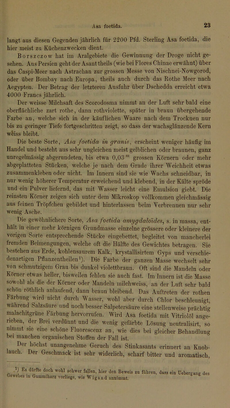 langt aus diesen Gegenden jährlich für 2200 Pfd. Sterling Asa foetida, die hier meist zu Küchenzwecken dient. Borszczow hat im Aralgebiete die Gewinnung der Droge nicht ge- sehen. Aus Persien geht der Asant theils (wie bei Flores Chinae erwähnt) über das Caspi-Meer nach Astrachan zur grossen Messe von Nischnei-Nowgorod, oder über Bombay nach Europa, theils auch durch das Rothe Meer nach Aegypten. Der Betrag der letzteren Ausfuhr über Dschedda erreicht etwa 4000 Francs jährlich. Der weisse Milchsaft des Scorodosma nimmt an der Luft sehr bald eine oberflächliche zart rothe, dann rothviolette, später in braun übergehende Farbe an, welche sich in der käuflichen Waare nach dem Trocknen nur bis zu geringer Tiefe fortgeschritten zeigt, so dass der wachsglänzende Kern wöiss bleibt. Die beste Sorte, Asa foetida in granis, erscheint weniger häufig im Handel und besteht aus sehr ungleichen meist gelblichen oder braunen, ganz unregelmässig abgerundeten, bis etwa 0,03 ra grossen Körnern oder mehr abgeplatteten Stücken, welche je nach dem Grade ihrer Weichheit etwas zusammeukleben oder nicht. Im Innern sind sie wie Wachs schneidbar, in nur wenig höherer Temperatur erweichend und klebend, in der Kälte spröde und ein Pulver liefernd, das mit Wasser leicht eine Emulsion giebt. Die reinsten Körner zeigen sich unter dem Mikroskop vollkommen gleichmässig aus feinen Tröpfchen gebildet und hinterlassen beim Verbrenuen nur sein- wenig Asche. Die gewöhnlichere Sorte, Asa foetida amygdaloides, s. in massa, ent- hält in einer mehr körnigen Grundmasse einzelne grössere oder kleinere der vorigen Sorte entsprechende Stücke eingebettet, begleitet von mancherlei fremden Beimengungen, welche oft die Hälfte des Gewichtes betragen. Sie bestehen aus Erde, kohlensaurem Kalk, krystallisirtem Gyps und verschie- denartigen Pflanzentheilen1). Die Farbe der ganzen Masse wechselt sehr von schmutzigem Grau bis dunkel violettbraun. Oft sind die Mandeln oder Körner etwas heller, bisweilen fehlen sie auch fast. Im Innern ist die Masse sowohl als die der Körner oder Mandeln milchweiss, an der Luft sehr bald schon röthhcli anlaufend, dann braun bleibend. Das Auftreten der rothen Färbung wird nicht durch Wasser, wohl aber durch Chlor beschleunigt, während Salzsäure und noch besser Salpetersäure eine stellenweise prächtig malachitgrüne Färbung hervorrufeu. Wird Asa foetida mit Vitriolöl ange- rieben, der Brei verdünnt und die wenig gefärbte Lösung neutralisirt, °so nimmt sie eine schöne Fluorescenz an, wie dies bei gleicher Behandlung bei manchen organischen Stoffen der Fall ist. Der höchst unangenehme Geruch des Stinkasants erinnert an Knob- lauch. Der Geschmack ist sehr widerlich, scharf bitter und aromatisch, R Es dürfte doch wohl schwer fallen, hier den Beweis zu führen, dass ein Gewebes in Gummiharz vorliege, wie Wigand annimmt. Uebergang des