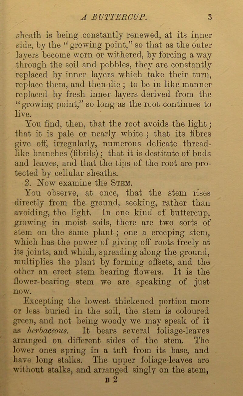 sheath is being constantly renewed, at its inner side, by the “growing point,” so that as the outer layers become worn or withered, by forcing a way through the soil and pebbles, they are constantly replaced by inner layers which take their turn, replace them, and then die ; to be in like manner replaced by fresh inner layers derived from the “growing point,” so long as the root continues to live. You find, then, that the root avoids the light; that it is pale or nearly white ; that its fibres give off, irregularly, numerous delicate thread- like branches (fibrils) ; that it is destitute of buds and leaves, and that the tips of the root are pro- tected by cellular sbeaths. 2. Now examine the Stem. You observe, at once, that the stem rises directly from the ground, seeking, rather than avoiding, the light. In one kind of buttercup, growing in moist soils, there are two sorts of stem on the same plant; one a creeping stem, which has the power of giving off roots freely at its joints, and which, spreading along the ground, multiplies the plant by forming offsets, and the other an erect stem bearing flowers. It is the flower-bearing stem we are speaking of just now. Excepting the lowest thickened portion more or less buried in the soil, the stem is coloured green, and not being woody we may speak of it as herbaceous. It bears several foliage-leaves arranged on different sides of the stem. The lower ones spring in a tuft from its base, and have long stalks. The upper foliage-leaves aro without stalks, and arranged singly on the stem, B 2