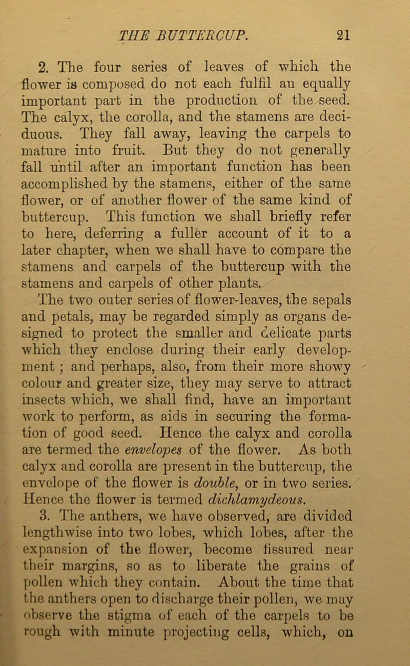 2. The four series of leaves of which the flower is composed do not each fulfil au equally important part in the production of the seed. The calyx, the corolla, and the stamens are deci- duous. They fall away, leaving the carpels to mature into fruit. But they do not generally fall until after an important function has been accomplished by the stamens, either of the same flower, or of another flower of the same kind of buttercup. This function we shall briefly refer to here, deferring a fuller account of it to a later chapter, when we shall have to compare the stamens and carpels of the buttercup with the stamens and carpels of other plants. The two outer series of flower-leaves, the sepals and petals, may be regarded simply as organs de- signed to protect the smaller and delicate parts which they enclose during their early develop- ment ; and perhaps, also, from their more showy colour and greater size, they may serve to attract insects which, we shall find, have an important work to perform, as aids in securing the forma- tion of good seed. Hence the calyx and corolla are termed the envelopes of the flower. As both calyx and corolla are present in the buttercup, the envelope of the flower is double, or in two series. Hence the flower is termed dichlamydeous. 3. The anthers, we have observed, are divided lengthwise into two lobes, which lobes, after the expansion of the flower, become fissured near their margins, so as to liberate the grains of pollen which they contain. About the time that the anthers open to discharge their pollen, we may observe the stigma of each of the carpels to be rough with minute projecting cells, which, on