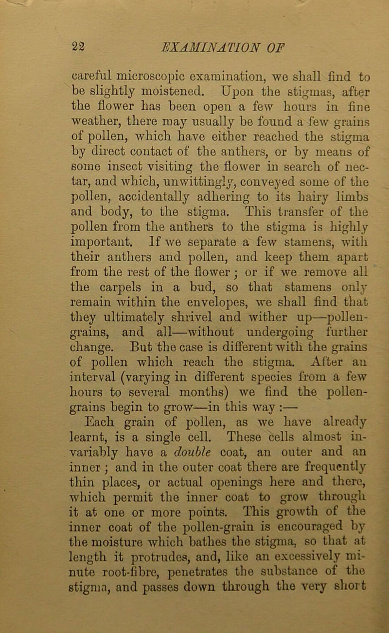 careful microscopic examination, we shall find to be slightly moistened. Upon the stigmas, after the flower has been open a few hours in fine weather, there may usually be found a few grains of pollen, which have either reached the stigma by direct contact of the anthers, or by means of some insect visiting the flower in search of nec- tar, and which, unwittingly, conveyed some of the pollen, accidentally adhering to its hairy limbs and body, to the stigma. This transfer of the pollen from the anthers to the stigma is highly important. If we separate a few stamens, with their anthers and pollen, and keep them apart from the rest of the flower; or if we remove all the carpels in a bud, so that stamens only remain within the envelopes, we shall find that they ultimately shrivel aud wither up—pollen- grains, and all—without undergoing further change. But the case is different with the grains of pollen which reach the stigma. After an interval (varying in different species from a few hours to several months) we find the pollen- grains begin to grow—in this way :— Each grain of pollen, as we have already learnt, is a single cell. These cells almost in- variably have a double coat, an outer and an inner ; and in the outer coat there are frequently thin places, or actual openings here and there, which permit the inner coat to grow through it at one or more points. This growth of the inner coat of the pollen-grain is encouraged by the moisture which bathes the stigma, so that at length it protrudes, and, like an excessively mi- nute root-fibre, penetrates the substance of the stigma, and passes down through the very short