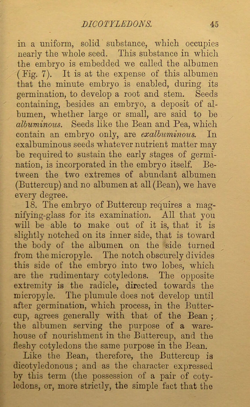 in a uniform, solid substance, which occupies nearly the whole seed. This substance in rvhich the embryo is embedded we called the albumen (Tig. 7). It is at the expense of this albumen that the minute embryo is enabled, during its germination, to develop a root and stem. Seeds containing, besides an embryo, a deposit of al- bumen, whether large or small, are said to be albuminous. Seeds like the Bean and Pea, which contain an embryo only, are exalbuminous. In exalbuminous seeds whatever nutrient matter may be required to sustain the early stages of germi- nation, is incorporated in the embryo itself. Be- tween the two extremes of abundant albumen (Buttercup) and no albumen at all (Bean), we have every degree. 18. The embryo of Buttercup requires a mag- nifying-glass for its examination. All that you will be able to make out of it is, that it is slightly notched on its inner side, that is toward the body of the albumen on the side turned from the micropyle. The notch obscurely divides this side of the embryo into two lobes, which are the rudimentary cotyledons. The opposite extremity is the radicle, directed towards the micropyle. The plumule does not develop until after germination, which process, in tire Butter- cup, agrees generally with that of the Bean ; the albumen serving the purpose of a ware- house of nourishment in the Buttercup, and the fleshy cotyledons the same purpose in the Bean. Like the Bean, therefore, the Buttercup is dicotyledonous; and as the character expressed by this term (the possession of a pair of coty- ledons, or, more strictly, the simple fact that the
