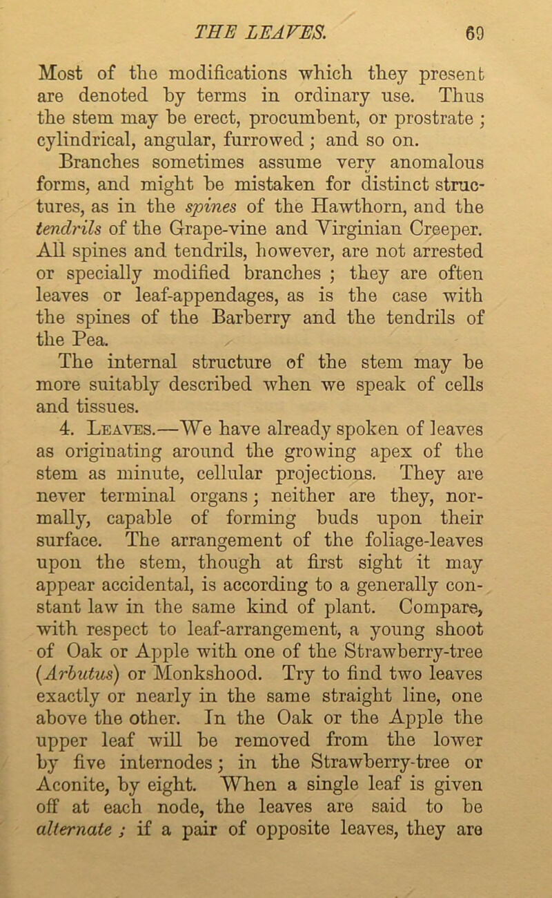 Most of the modifications which they present are denoted by terms in ordinary use. Thus the stem may he erect, procumbent, or prostrate ; cylindrical, angular, furrowed ; and so on. Branches sometimes assume very anomalous forms, and might he mistaken for distinct struc- tures, as in the spines of the Hawthorn, and the tendrils of the Grape-vine and Virginian Creeper. All spines and tendrils, however, are not arrested or specially modified branches ; they are often leaves or leaf-appendages, as is the case with the spines of the Barberry and the tendrils of the Pea. The internal structure of the stem may he more suitably described when we speak of cells and tissues. 4. Leaves.—We have already spoken of leaves as originating around the growing apex of the stem as minute, cellular projections. They are never terminal organs 3 neither are they, nor- mally, capable of forming buds upon their surface. The arrangement of the foliage-leaves upon the stem, though at first sight it may appear accidental, is according to a generally con- stant law in the same kind of plant. Compare, with respect to leaf-arrangement, a young shoot of Oak or Apple with one of the Strawberry-tree (Arbutus) or Monkshood. Try to find two leaves exactly or nearly in the same straight line, one above the other. In the Oak or the Apple the upper leaf will be removed from the lower by five internodes3 in the Strawberry-tree or Aconite, by eight. When a single leaf is given off at each node, the leaves are said to be alternate ; if a pair of opposite leaves, they are