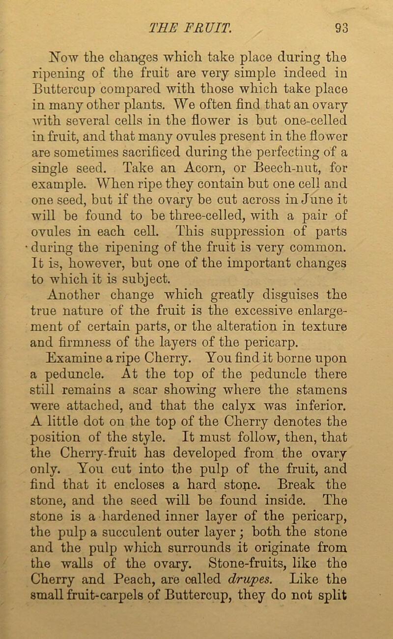 Now the changes which take place during the ripening of the fruit are very simple indeed in Buttercup compared with those which take place in many other plants. We often find that an ovary with several cells in the flower is but one-celled in fruit, and that many ovules present in the flower are sometimes sacrificed during the perfecting of a single seed. Take an Acorn, or Beech-nut, for example. When ripe they contain but one cell and one seed, but if the ovary be cut across in June it will be found to be three-celled, with a pair of ovules in each cell. This suppression of parts • during the ripening of the fruit is very common. It is, however, but one of the important changes to which it is subject. Another change which greatly disguises the true nature of the fruit is the excessive enlarge- ment of certain parts, or the alteration in texture and firmness of the layers of the pericarp. Examine a ripe Cherry. You find it borne upon a peduncle. At the top of the peduncle there still remains a scar showing where the stamens were attached, and that the calyx was inferior. A little dot on the top of the Cherry denotes the position of the style. It must follow, then, that the Cherry-fruit has developed from the ovary only. You cut into the pulp of the fruit, and find that it encloses a hard stone. Break the stone, and the seed will be found inside. The stone is a hardened inner layer of the pericarp, the pulp a succulent outer layer; both the stone and the pulp which surrounds it originate from the walls of the ovary. Stone-fruits, like the Cherry and Peach, are called drupes. Like the small fruit-carpels of Buttercup, they do not split
