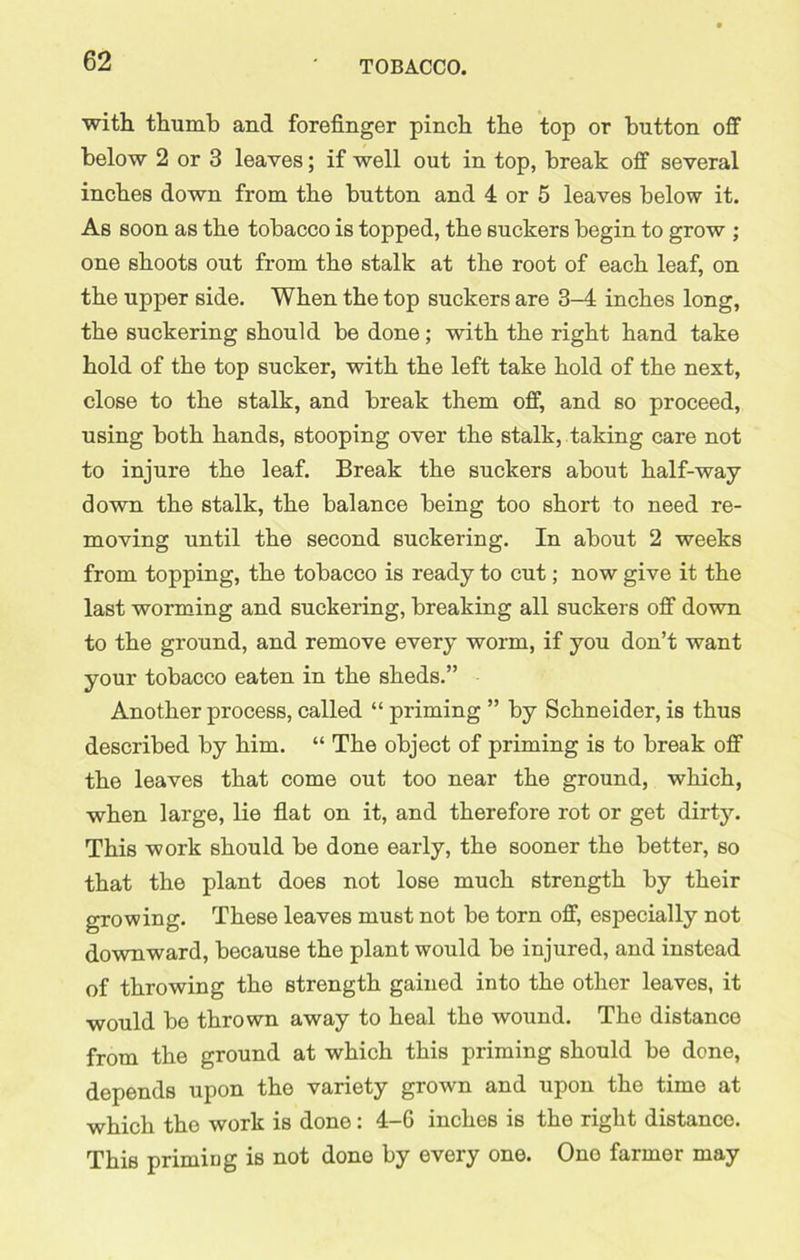with thumb and forefinger pinch the top or button off below 2 or 3 leaves; if well out in top, break off several inches down from the button and 4 or 5 leaves below it. As soon as the tobacco is topped, the suckers begin to grow ; one shoots out from the stalk at the root of each leaf, on the upper side. When the top suckers are 3-4 inches long, the suckering should be done; with the right hand take hold of the top sucker, with the left take hold of the next, close to the stalk, and break them off, and so proceed, using both hands, stooping over the stalk, taking care not to injure the leaf. Break the suckers about half-way down the stalk, the balance being too short to need re- moving until the second suckering. In about 2 weeks from topping, the tobacco is ready to cut; now give it the last worming and suckering, breaking all suckers off down to the ground, and remove every worm, if you don’t want your tobacco eaten in the sheds.” Another process, called “ priming ” by Schneider, is thus described by him. “ The object of priming is to break off the leaves that come out too near the ground, which, when large, lie flat on it, and therefore rot or get dirty. This work should be done early, the sooner the better, so that the plant does not lose much strength by their growing. These leaves must not be torn off, especially not downward, because the plant would be injured, and instead of throwing the strength gained into the other leaves, it would be thrown away to heal the wound. The distance from the ground at which this priming should be done, depends upon the variety grown and upon the time at which the work is done : 4-G inches is the right distance. This priming is not done by every one. One farmer may