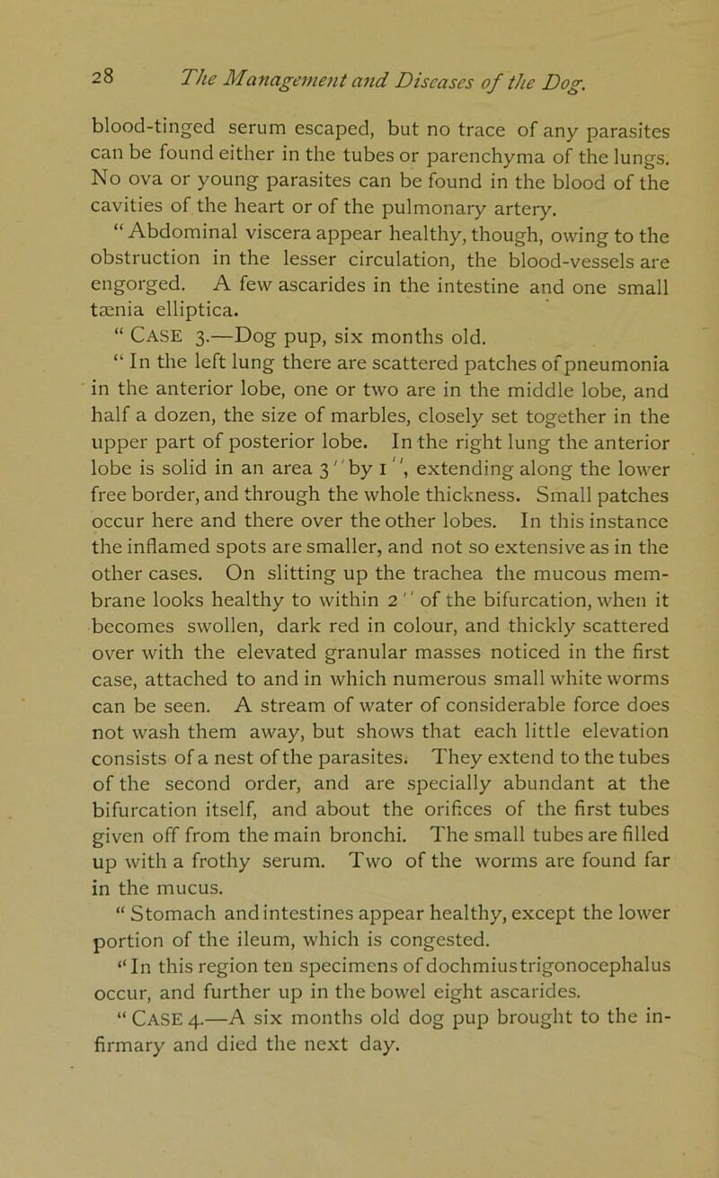 blood-tinged serum escaped, but no trace of any parasites can be found either in the tubes or parenchyma of the lungs. No ova or young parasites can be found in the blood of the cavities of the heart or of the pulmonary artery. “ Abdominal viscera appear healthy, though, owing to the obstruction in the lesser circulation, the blood-vessels are engorged. A few ascarides in the intestine and one small tsenia elliptica. “ Case 3.—Dog pup, six months old. “ In the left lung there are scattered patches of pneumonia in the anterior lobe, one or two are in the middle lobe, and half a dozen, the size of marbles, closely set together in the upper part of posterior lobe. In the right lung the anterior lobe is solid in an area 3' by i , extending along the lower free border, and through the whole thickness. Small patches occur here and there over the other lobes. In this instance the inflamed spots are smaller, and not so extensive as in the other cases. On slitting up the trachea the mucous mem- brane looks healthy to within 2  of the bifurcation, when it becomes swollen, dark red in colour, and thickly scattered over with the elevated granular masses noticed in the first case, attached to and in which numerous small white worms can be seen. A stream of water of considerable force does not wash them away, but shows that each little elevation consists of a nest of the parasites. They extend to the tubes of the second order, and are specially abundant at the bifurcation itself, and about the orifices of the first tubes given off from the main bronchi. The small tubes are filled up with a frothy serum. Two of the worms are found far in the mucus. “ Stomach and intestines appear healthy, except the lower portion of the ileum, which is congested. “In this region ten specimens of dochmiustrigonocephalus occur, and further up in the bowel eight ascarides. “ Case 4.—A six months old dog pup brought to the in- firmary and died the next day.