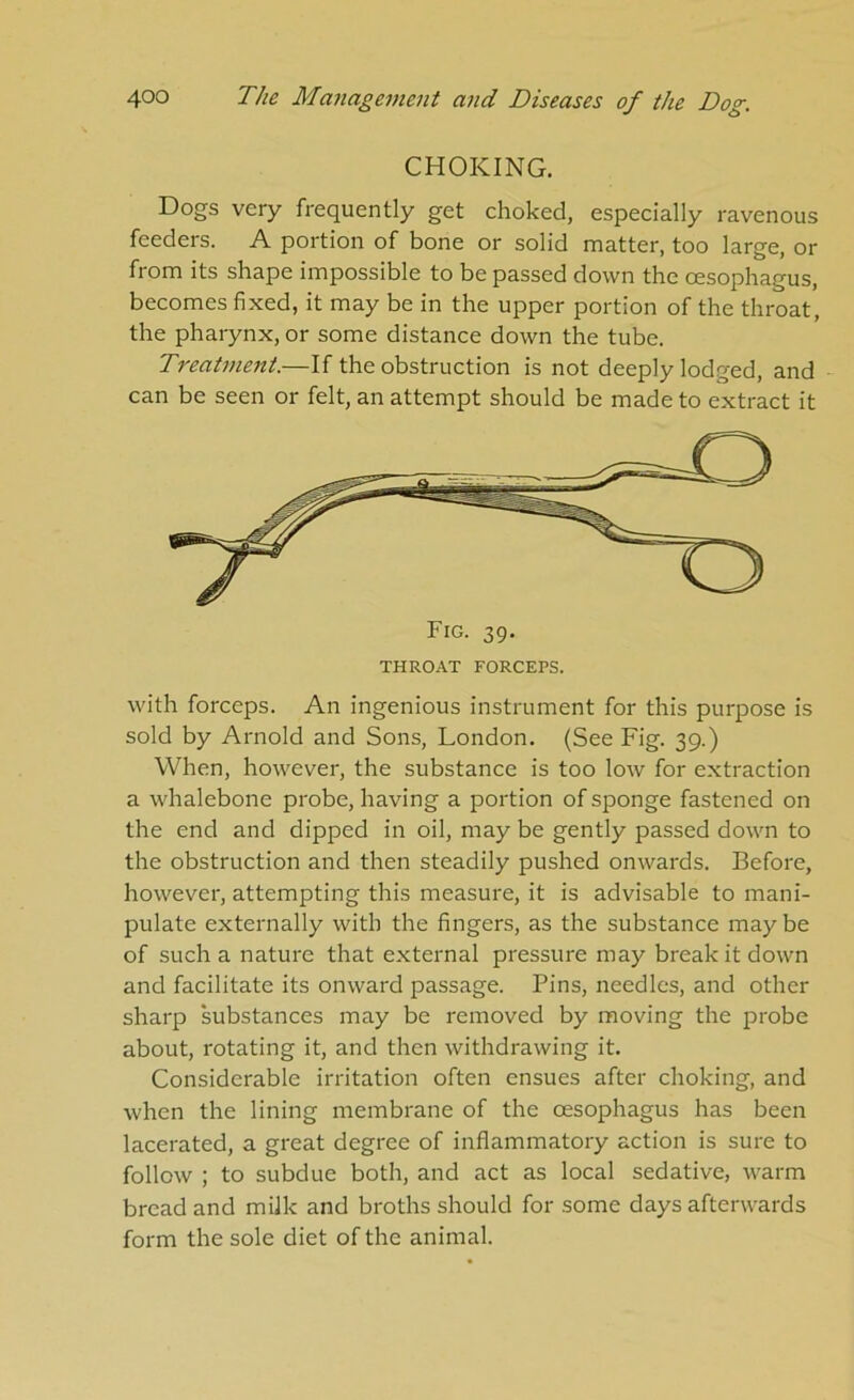 CHOKING. Dogs very frequently get choked, especially ravenous feeders. A portion of bone or solid matter, too large, or from its shape impossible to be passed down the oesophagus, becomes fixed, it may be in the upper portion of the throat, the pharynx, or some distance down the tube. Treatment.—If the obstruction is not deeply lodged, and can be seen or felt, an attempt should be made to extract it with forceps. An ingenious instrument for this purpose is sold by Arnold and Sons, London. (See Fig. 39.) When, however, the substance is too low for extraction a whalebone probe, having a portion of sponge fastened on the end and dipped in oil, may be gently passed down to the obstruction and then steadily pushed onwards. Before, however, attempting this measure, it is advisable to mani- pulate externally with the fingers, as the substance may be of such a nature that external pressure may break it down and facilitate its onward passage. Pins, needles, and other sharp substances may be removed by moving the probe about, rotating it, and then withdrawing it. Considerable irritation often ensues after choking, and when the lining membrane of the oesophagus has been lacerated, a great degree of inflammatory action is sure to follow ; to subdue both, and act as local sedative, warm bread and milk and broths should for some days afterwards form the sole diet of the animal.