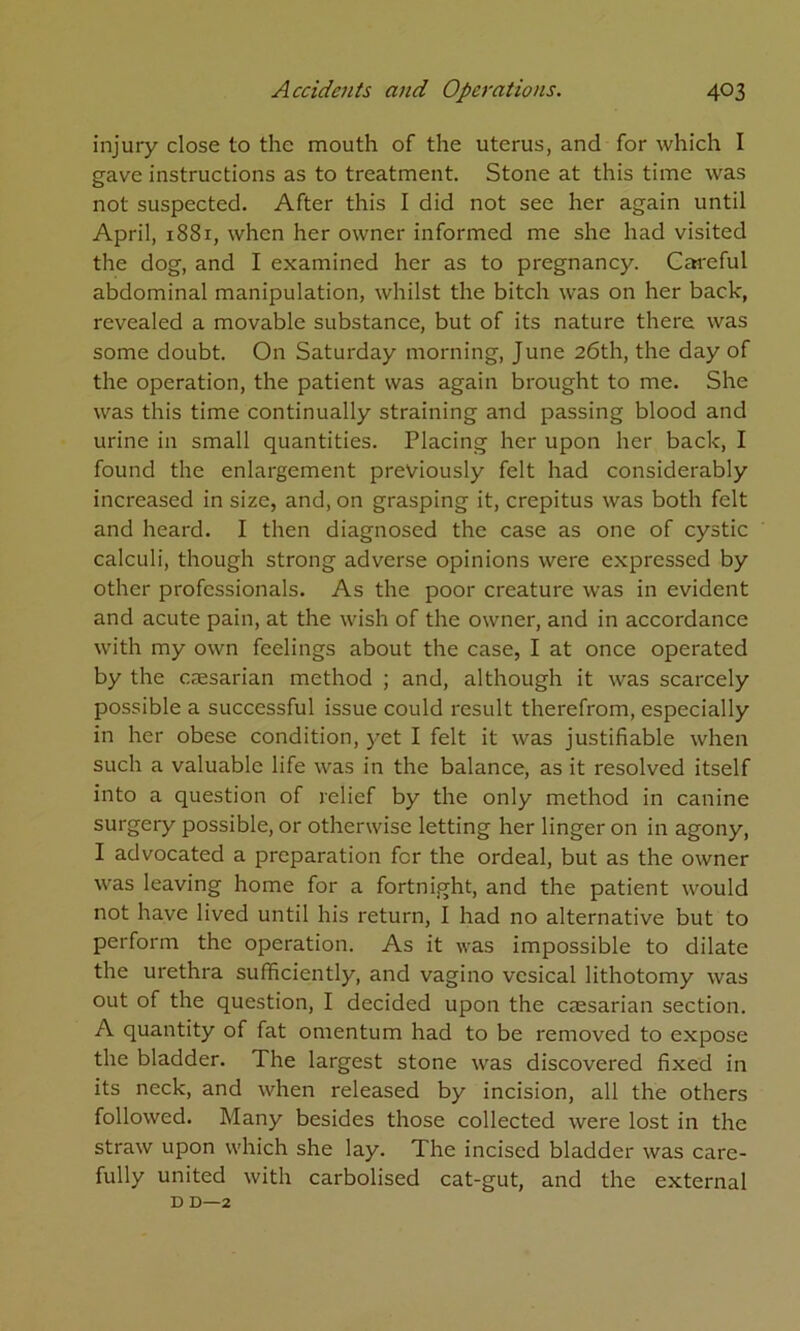 injury close to the mouth of the uterus, and for which I gave instructions as to treatment. Stone at this time was not suspected. After this I did not see her again until April, 1881, when her owner informed me she had visited the dog, and I examined her as to pregnancy. Careful abdominal manipulation, whilst the bitch was on her back, revealed a movable substance, but of its nature there was some doubt. On Saturday morning, June 26th, the day of the operation, the patient was again brought to me. She was this time continually straining and passing blood and urine in small quantities. Placing her upon her back, I found the enlargement previously felt had considerably increased in size, and, on grasping it, crepitus was both felt and heard. I then diagnosed the case as one of cystic calculi, though strong adverse opinions were expressed by other professionals. As the poor creature was in evident and acute pain, at the wish of the owner, and in accordance with my own feelings about the case, I at once operated by the cjesarian method ; and, although it was scarcely possible a successful issue could result therefrom, especially in her obese condition, yet I felt it was justifiable when such a valuable life was in the balance, as it resolved itself into a question of relief by the only method in canine surgery possible, or otherwise letting her linger on in agony, I advocated a preparation for the ordeal, but as the owner was leaving home for a fortnight, and the patient would not have lived until his return, I had no alternative but to perform the operation. As it was impossible to dilate the urethra sufficiently, and vagino vesical lithotomy was out of the question, I decided upon the caesarian section. A quantity of fat omentum had to be removed to expose the bladder. The largest stone was discovered fixed in its neck, and when released by incision, all the others followed. Many besides those collected were lost in the straw upon which she lay. The incised bladder was care- fully united with carbolised cat-gut, and the external D D—2