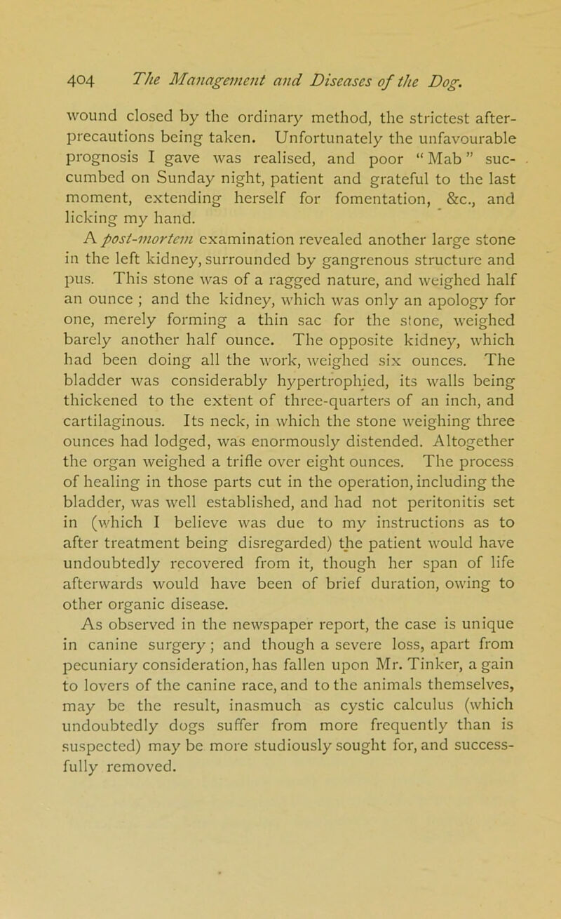 wound closed by the ordinary method, the strictest after- precautions being taken. Unfortunately the unfavourable prognosis I gave was realised, and poor “ Mab ” suc- cumbed on Sunday night, patient and grateful to the last moment, extending herself for fomentation, &c., and licking my hand. A post-mortem examination revealed another large stone in the left kidney, surrounded by gangrenous structure and pus. This stone was of a ragged nature, and weighed half an ounce ; and the kidney, which was only an apology for one, merely forming a thin sac for the stone, weighed barely another half ounce. The opposite kidney, which had been doing all the work, Aveighed si.x ounces. The bladder was considerably hypertrophied, its walls being thickened to the extent of three-quarters of an inch, and cartilaginous. Its neck, in which the stone weighing three ounces had lodged, was enormously distended. Altogether the organ weighed a trifle over eight ounces. The process of healing in those parts cut in the operation, including the bladder, was Avell established, and had not peritonitis set in (which I believe was due to my instructions as to after treatment being disregarded) the patient would have undoubtedly recovered from it, though her span of life afterwards would have been of brief duration, owing to other organic disease. As observed in the newspaper report, the case is unique in canine surgery; and though a severe loss, apart from pecuniary consideration,has fallen upon Mr. Tinker, again to lovers of the canine race, and to the animals themselves, may be the result, inasmuch as cystic calculus (which undoubtedly dogs suffer from more frequently than is suspected) maybe more studiously sought for, and success- fully removed.