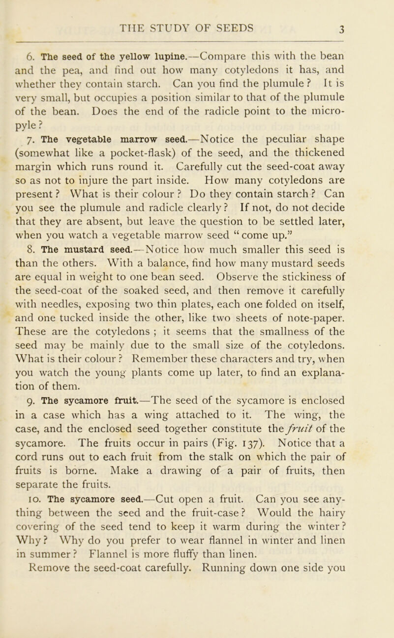 6. The seed of the yellow lupine.—Compare this with the bean and the pea, and find out how many cotyledons it has, and whether they contain starch. Can you find the plumule ? It is very small, but occupies a position similar to that of the plumule of the bean. Does the end of the radicle point to the micro- pyle ? 7. The vegetable marrow seed.—Notice the peculiar shape (somewhat like a pocket-flask) of the seed, and the thickened margin which runs round it. Carefully cut the seed-coat away so as not to injure the part inside. How many cotyledons are present ? What is their colour ? Do they contain starch ? Can you see the plumule and radicle clearly ? If not, do not decide that they are absent, but leave the question to be settled later, when you watch a vegetable marrow seed “ come up.” 8. The mustard seed.—Notice how much smaller this seed is than the others. With a balance, find how many mustard seeds are equal in weight to one bean seed. Observe the stickiness of the seed-coat of the soaked seed, and then remove it carefully with needles, exposing two thin plates, each one folded on itself, and one tucked inside the other, like two sheets of note-paper. These are the cotyledons ; it seems that the smallness of the seed may be mainly due to the small size of the cotyledons. What is their colour ? Remember these characters and try, when you watch the young plants come up later, to find an explana- tion of them. 9. Tbe sycamore fruit.—The seed of the sycamore is enclosed in a case which has a wing attached to it. The wing, the case, and the enclosed seed together constitute the fruit of the sycamore. The fruits occur in pairs (Fig. 137). Notice that a cord runs out to each fruit from the stalk on which the pair of fruits is borne. Make a drawing of a pair of fruits, then separate the fruits. 10. The sycamore seed.—Cut open a fruit. Can you see any- thing between the seed and the fruit-case ? Would the hairy covering of the seed tend to keep it warm during the winter? Why ? Why do you prefer to wear flannel in winter and linen in summer? Flannel is more fluffy than linen. Remove the seecl-coat carefully. Running down one side you