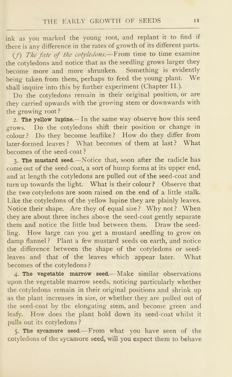 ink as you marked the young root, and replant it to find if there is any difference in the rates of growth of its different parts. (/) The fate of the cotyledons.—From time to time examine the cotyledons and notice that as the seedling grows larger they become more and more shrunken. Something is evidently being taken from them, perhaps to feed the young plant. We shall inquire into this by further experiment (Chapter II.). Do the cotyledons remain in their original position, or are they carried upwards with the growing stem or downwards with the growing root ? 2. The yellow lupine.— In the same way observe how this seed grows. Do the cotyledons shift their position or change in colour? Do they become leaflike? How do they differ from later-formed leaves ? What becomes of them at last ? What becomes of the seed-coat ? 3. The mustard seed.—Notice that, soon after the radicle has come out of the seed-coat, a sort of hump forms at its upper end, and at length the cotyledons are pulled out of the seed-coat and turn up towards the light. What is their colour? Observe that the two cotyledons are soon raised on the end of a little stalk. Like the cotyledons of the yellow lupine they are plainly leaves. Notice their shape. Are they of equal size? Why not? When they are about three inches above the seed-coat gently separate them and notice the little bud between them. Draw the seed- ling. How large can you get a mustard seedling to grow on damp flannel ? Plant a few mustard seeds on earth, and notice the difference between the shape of the cotyledons or seed- leaves and that of the leaves which appear later. What becomes of the cotyledons ? 4. The vegetable marrow seed.- Make similar observations upon the vegetable marrow seeds, noticing particularly whether the cotyledons remain in their original positions and shrink up as the plant increases in size, or whether they are pulled out of the seed-coat by the elongating stem, and become green and leafy. How does the plant hold down its seed-coat whilst it pulls out its cotyledons ? 5. The sycamore seed.—From what you have seen of the cotyledons of the sycamore seed, will you expect them to behave