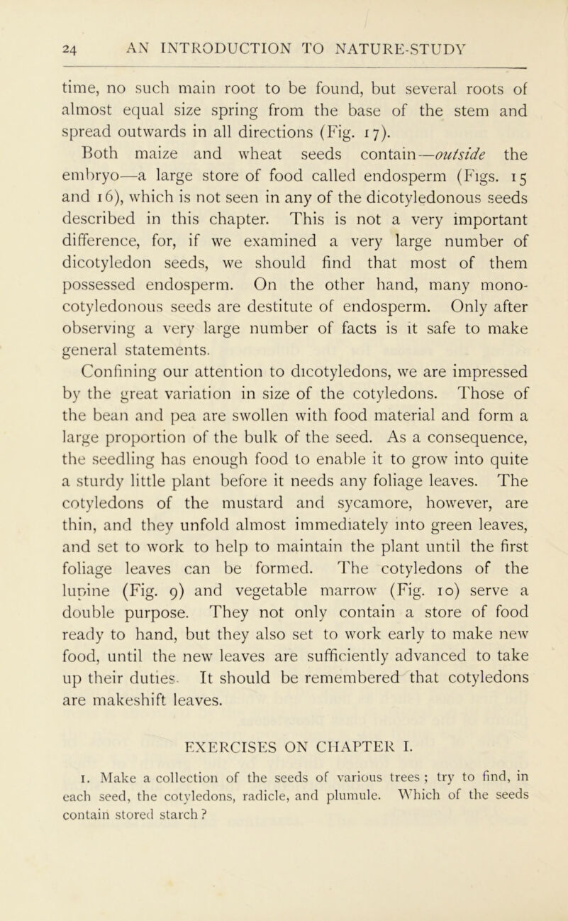 time, no such main root to be found, but several roots of almost equal size spring from the base of the stem and spread outwards in all directions (Fig. 17). Both maize and wheat seeds contain—outside the embryo—a large store of food called endosperm (Figs. 15 and 16), which is not seen in any of the dicotyledonous seeds described in this chapter. This is not a very important difference, for, if we examined a very large number of dicotyledon seeds, we should find that most of them possessed endosperm. On the other hand, many mono- cotyledonous seeds are destitute of endosperm. Only after observing a very large number of facts is it safe to make general statements. Confining our attention to dicotyledons, we are impressed by the great variation in size of the cotyledons. Those of the bean and pea are swollen with food material and form a large proportion of the bulk of the seed. As a consequence, the seedling has enough food to enable it to grow into quite a sturdy little plant before it needs any foliage leaves. The cotyledons of the mustard and sycamore, however, are thin, and they unfold almost immediately into green leaves, and set to work to help to maintain the plant until the first foliage leaves can be formed. The cotyledons of the lupine (Fig. 9) and vegetable marrow (Fig. 10) serve a double purpose. They not only contain a store of food ready to hand, but they also set to work early to make new food, until the new leaves are sufficiently advanced to take up their duties. It should be remembered that cotyledons are makeshift leaves. EXERCISES ON CHAPTER I. 1. Make a collection of the seeds of various trees ; try to find, in each seed, the cotyledons, radicle, and plumule. Which of the seeds contain stored starch ?