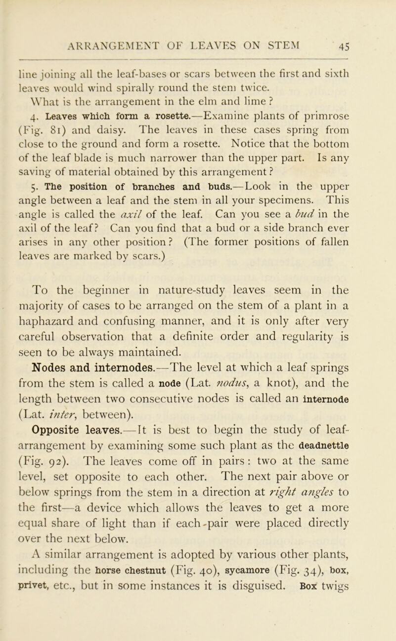 line joining all the leaf-bases or scars between the first and sixth leaves would wind spirally round the stem twice. What is the arrangement in the elm and lime ? 4. Leaves which form a rosette.—Examine plants of primrose (Fig. 81) and daisy. The leaves in these cases spring from close to the ground and form a rosette. Notice that the bottom of the leaf blade is much narrower than the upper part. Is any saving of material obtained by this arrangement ? 5. The position of branches and buds.—Look in the upper angle between a leaf and the stem in all your specimens. This angle is called the axil of the leaf. Can you see a bud in the axil of the leaf? Can you find that a bud or a side branch ever arises in any other position ? (The former positions of fallen leaves are marked by scars.) To the beginner in nature-study leaves seem in the majority of cases to be arranged on the stem of a plant in a haphazard and confusing manner, and it is only after very careful observation that a definite order and regularity is seen to be always maintained. Nodes and internodes.—The level at which a leaf springs from the stem is called a node (Lat. nodus, a knot), and the length between two consecutive nodes is called an internode (Lat. inter, between). Opposite leaves.—It is best to begin the study of leaf- arrangement by examining some such plant as the deadnettle (Fig. 92). The leaves come off in pairs : two at the same level, set opposite to each other. The next pair above or below springs from the stem in a direction at right angles to the first—a device which allows the leaves to get a more equal share of light than if each-pair were placed directly over the next below. A similar arrangement is adopted by various other plants, including the horse chestnut (Fig. 40), sycamore (Fig. 34), box, privet, etc., but in some instances it is disguised. Box twigs