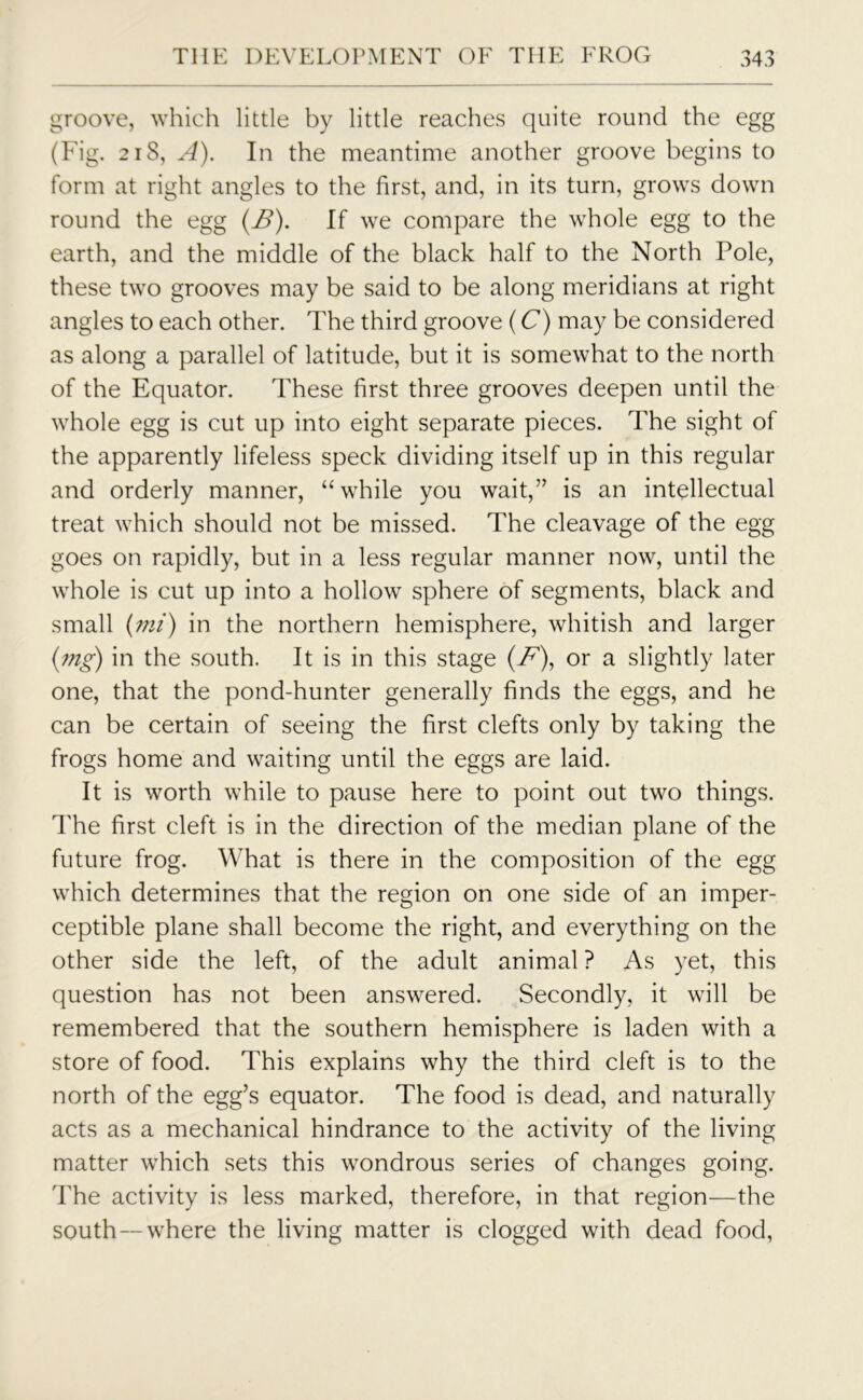 groove, which little by little reaches quite round the egg (Fig. 218, A). In the meantime another groove begins to form at right angles to the first, and, in its turn, grows down round the egg (B). If we compare the whole egg to the earth, and the middle of the black half to the North Pole, these two grooves may be said to be along meridians at right angles to each other. The third groove (C) may be considered as along a parallel of latitude, but it is somewhat to the north of the Equator. These first three grooves deepen until the whole egg is cut up into eight separate pieces. The sight of the apparently lifeless speck dividing itself up in this regular and orderly manner, “ while you wait,” is an intellectual treat which should not be missed. The cleavage of the egg goes on rapidly, but in a less regular manner now, until the whole is cut up into a hollow sphere of segments, black and small (mi) in the northern hemisphere, whitish and larger (mg) in the south. It is in this stage (F), or a slightly later one, that the pond-hunter generally finds the eggs, and he can be certain of seeing the first clefts only by taking the frogs home and waiting until the eggs are laid. It is worth while to pause here to point out two things. The first cleft is in the direction of the median plane of the future frog. What is there in the composition of the egg which determines that the region on one side of an imper- ceptible plane shall become the right, and everything on the other side the left, of the adult animal ? As yet, this question has not been answered. Secondly, it will be remembered that the southern hemisphere is laden with a store of food. This explains why the third cleft is to the north of the egg’s equator. The food is dead, and naturally acts as a mechanical hindrance to the activity of the living matter which sets this wondrous series of changes going. The activity is less marked, therefore, in that region—the south—-where the living matter is clogged with dead food,