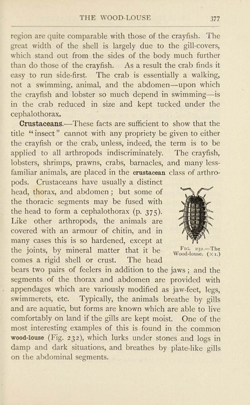 region are quite comparable with those of the crayfish. The great width of the shell is largely due to the gill-covers, which stand out from the sides of the body much further than do those of the crayfish. As a result the crab finds it easy to run side-first. The crab is essentially a walking, not a swimming, animal, and the abdomen—upon which the crayfish and lobster so much depend in swimming—is in the crab reduced in size and kept tucked under the cephalo thorax. Crustaceans.—These facts are sufficient to show that the title “ insect ” cannot with any propriety be given to either the crayfish or the crab, unless, indeed, the term is to be applied to all arthropods indiscriminately. The crayfish, lobsters, shrimps, prawns, crabs, barnacles, and many less- familiar animals, are placed in the crustacean class of arthro- pods. Crustaceans have usually a distinct head, thorax, and abdomen; but some of the thoracic segments may be fused with the head to form a cephalothorax (p. 375). Like other arthropods, the animals are covered with an armour of chitin, and in many cases this is so hardened, except at the joints, by mineral matter that it be conies a rigid shell or crust. The head bears two pairs of feelers in addition to the jaws ; and the segments of the thorax and abdomen are provided with appendages which are variously modified as jaw-feet, legs, swimmerets, etc. Typically, the animals breathe by gills and are aquatic, but forms are known which are able to live comfortably on land if the gills are kept moist. One of the most interesting examples of this is found in the common wood-louse (Fig. 232), which lurks under stones and logs in damp and dark situations, and breathes by plate-like gills on the abdominal segments.