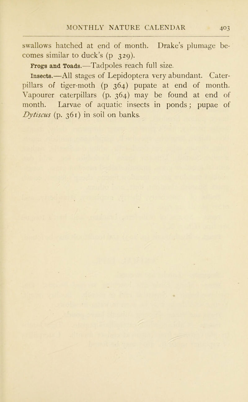 swallows hatched at end of month. Drake’s plumage be- comes similar to duck’s (p 329). Frogs and Toads.—Tadpoles reach full size. Insects.—All stages of Lepidoptera very abundant. Cater- pillars of tiger-moth (p 364) pupate at end of month. Yapourer caterpillars (p. 364) may be found at end of month. Larvae of aquatic insects in ponds; pupae of Dytiscus (p. 361) in soil on banks.