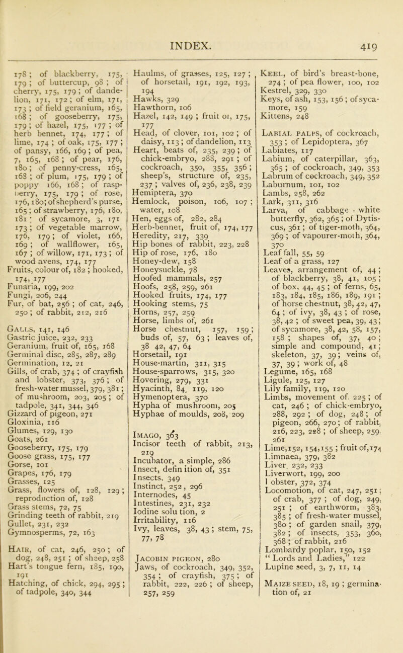 178 ; of blackberry, 175, ; 179 ; of buttercup, 98 ; of I cherry, 175, 179 ; of dande- lion, 171, 172 ; of elm, 171, | 173 ; of field geranium, 165, 168 ; of gooseberry, 175, 179 ; of hazel, 175, 177 ; of herb bennet, 174, 177; of lime, 174 ; of oak, 175, 177 ; of pansy, 166, 169 ; of pea, 7, 165, 168 *, of pear, 176, 180; of penny-cress, 165, 16S ; of plum, 175, 179 ', of poppy 166, 168 ; of rasp- berry, 175, 179 ; of rose, 176,180; ofshepherd’s purse, 163 ; of strawberry, 176, 180, 181 ; of sycamore, 3, 171 173 ; of vegetable marrow, 176, 179; of violet, 166, 169 ; of wallflower, 165, 167 ; of willow, 171, 173 ; of wood avens, 174, 177 Fruits, colour of, 182 ; hooked, 174. .177 Funaria, 199, 202 Fungi, 206, 244 Fur, of bat, 256 ; of cat, 246, 250; of rabbit, 212, 216 Galls, 141, 146 Gastric juice, 232, 233 Geranium, fruit of, 165, 168 Germinal disc, 285, 287, 289 Germination, 12. 21 Gills, of crab, 374 ; of crayfish and lobster, 373, 376; of fresh-water mussel, 379, 381; of mushroom, 203, 205 ; of tadpole, 341, 344, 346 Gizzard of pigeon, 271 Gloxinia, 116 Glumes, 129, 130 Goats, 261 Gooseberry, 175, 179 Goose grass, 175, 177 Gorse, 101 Grapes, 176, 179 Grasses, 125 Grass, flowers of, 128, 129; reproduction of, 128 Grass stems, 72, 75 Grinding teeth of rabbit, 219 Gullet, 231, 232 Gymnosperms, 72, 163 Hair, of cat, 246, 250; of dog, 248,251 ; of sheep,258 Hart’s tongue fern, 185, 190, Hatching, of chick, 294, 295 ; of tadpole, 340, 344 Haulms, of grasses, 125, 127 ; of horsetail, 191, 192, 193, 194 Hawks, 329 Hawthorn, 106 Hazel, 142, 149 ; fruit or, 175, 177 Head, of clover, 101, 102 ; of daisy, 113 ; of dandelion, 113 Heart, beats of, 235, 239 ; of chick-embryo, 288, 291 ; of cockroach, 350, 355, 356; sheep’s, structure of, 235, 237 ; valves of, 236, 238, 239 Hemiptera, 370 Hemlock, poison, to6, 107 ; water, 108 Hen, eggs of, 282, 284 Herb-bennet, fruit of, 174, 177 Heredity, 217, 339 Hip bones of rabbit, 223, 228 Hip of rose, 176, 180 Honey-dew, 158 Honeysuckle, 78 Hoofed mammals, 257 Hoofs, 258, 259, 261 Hooked fruits, 174, 177 Hooking stems, 75 Horns, 257, 259 Horse, limbs of, 261 Horse chestnut, 157, 159; buds of, 57, 63 ; leaves of, 38 42, 47, 64 Horsetail, 191 House-martin, 311, 315 House-sparrows, 315, 320 Hovering, 279, 331 Hyacinth, 84, 119, 120 Hymenoptera, 370 Hypha of mushroom, 205 Hyphae of moulds, 208, 209 Imago, 3^3 Incisor teeth of rabbit, 213, 2x9 Incubator, a simple, 286 Insect, definition of, 351 Insects, 349 Instinct, 252, 296 Internodes, 45 Intestines, 231, 232 Iodine solu tion, 2 Irritability, 116 Ivy, leaves, 38, 43 ; stem, 75, 77. 78 Jacobin pigeon, 280 Jaws, of cockroach, 349, 352, 354 ; of crayfish, 375 ; of rabbit, 222, 226 ; of sheep, 257. 259 Keel, of bird’s breast-bone, 274 ; of pea flower, 100, 102 Kestrel, 329, 330 Keys, of ash, 153, 156 ; of syca- more, 159 Kittens, 248 Labial palps, of cockroach, 353 i of Lepidoptera, 367 Labiates, 117 Labium, of caterpillar, 363, 365 ; of cockroach, 349, 353 Labrum of cockroach, 349, 352 Laburnum, 101, 102 Lambs, 258, 262 Lark, 311, 316 Larva, of cabbage - white butterfly, 362, 365 ; of Dytis- cus, 361; of tiger-moth, 364, 369 ; of vapourer-moth, 364, 370 Leaf fall, 55, 59 Leaf of a grass, 127 Leaves, arrangement of, 44; of blackberry, 38, 41, 105 ; of box, 44, 45 ; of ferns, 65, 183, 184, 185, 186, 189, 191 ; of horse chestnut, 38, 42, 47, 64 ; of ivy, 38, 43 ; of rose, 38, 42 ; of sweet pea, 39, 43; of sycamore, 38, 42, 58, 157, 158 ; shapes of, 37, 40 ; simple and compound, 41; skeleton, 37, 39; veins of, 37, 39 5 work of> 48 Legume, 165, 168 Ligule, 125, 127 Lily family, 119, 120 Limbs, movement of. 225 ; of cat, 246 ; of chick-embryo, 288, 292 ; of dog, 248 *, of pigeon, 266, 270; of rabbit, 216, 223, 228 ; of sheep, 259. 261 Lime,152, 154,155 5 fruit of,174 l.imnaea, 379, 382 Liver, 232, 233 Liverwort, 199, 200 1 obster, 372, 374 Locomotion, of cat, 247, 251; of crab, 377 ; of dog, 249, 251 ; of earthworm, 383, 385 ; of fresh-water mussel, 380 ; of garden snail, 379, 382; of insects, 353, 360, 368 ; of rabbit, 216 Lombardy poplar, 150, 152 j “ Lords and Ladies,” 122 I Lupine seed, 3, 7, 11, 14 Maize seed, 18, 19 ; germina- tion of, 21