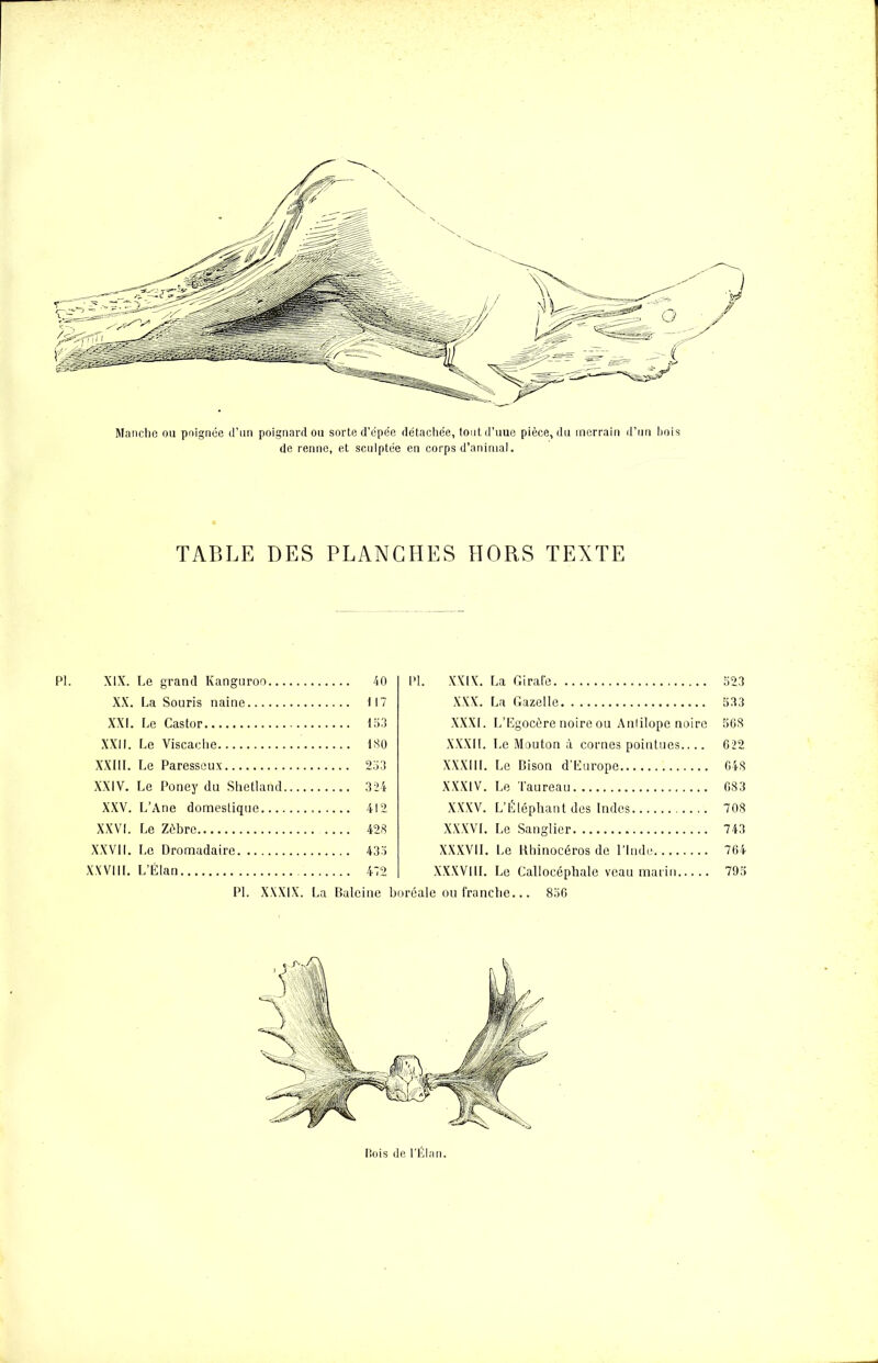 Manche ou poignée d’i poignard ou sorte d’épée détachée, tontd’uue pièce, du merrain d’un bois de renne, et sculptée en corps d’animal. TABLE DES PLANCHES HORS TEXTE PI. XIX. Le grand Kanguroo 40 XX. La Souris naine 117 XXL Le Castor 153 XXII. Le Viscache 130 XXIII. Le Paresseux 253 XXIV. Le Poney du Shetland 324 XXV. L’Ane domestique 412 XXVI. Le Zèbre .... 428 XXVII. Le Dromadaire 433 XXVIII. L’Élan 472 PL XXXIX. La Baleine PI. XXIX. La Girafe 523 XXX. La Gazelle 533 XXXI. L’Egocère noire ou Anlilope noire 568 XXXII. Le Mouton à cornes pointues.... 622 XXXIII. Le Bison d'Europe 648 XXXIV. Le Taureau 683 XXXV. L’Éléphant des Indes 708 XXXVI. Le Sanglier 743 XXXVII. Le Rhinocéros de l’Inde.- 764 XXXVIII. Le Callocéphale veau marin 795 réale ou franche... 856 Bois de l’Élan.