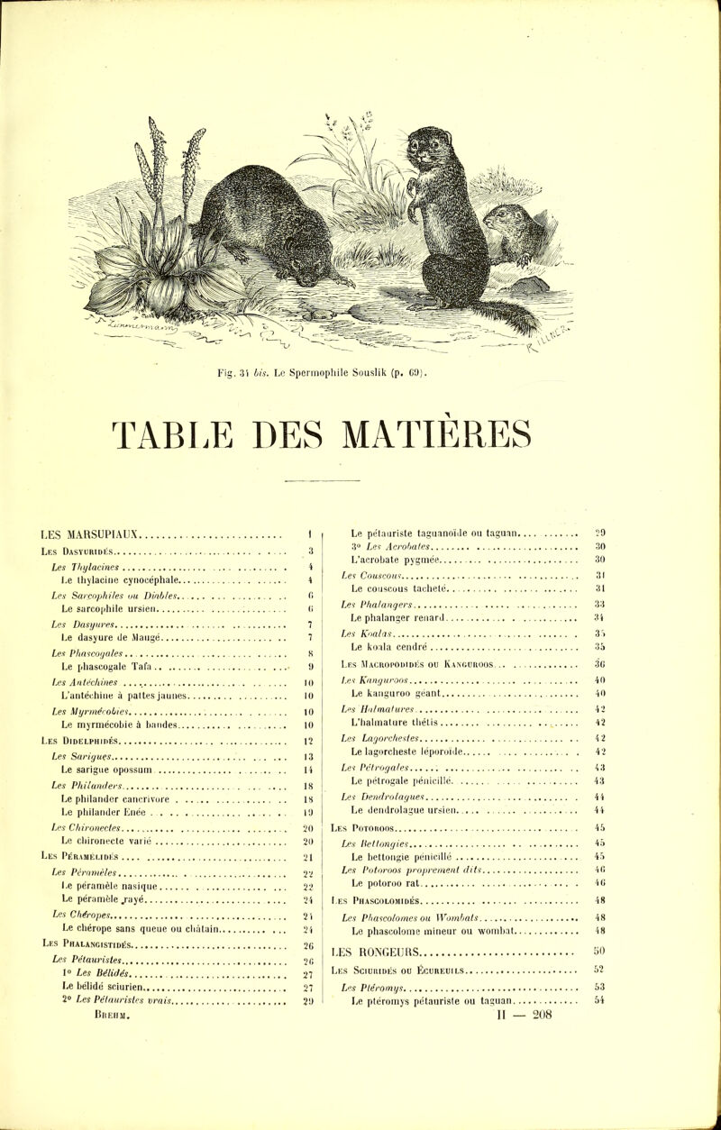 LES MARSUPIAUX I Les Dasyuridés 3 Les Thylacines 4 Le thylacine cynocéphale 4 Les Sarpophiles ou Diables 0 Le sarcophile ursien (i Les Dasyures 7 Le dasyure de Mangé 7 Les Phascogales 8 Le phascogale Tafa • 9 l*es Antéchines 10 L’antéuhine à pattes jaunes 10 Les Myrmécobies 10 Le myrmécobie à bandes 10 Les Didelphidés 12 Les Sarigues 13 Le sarigue opossum 14 Les Philanders 18 Le philander cancrivore 18 Le philander Enée 19 Les Chironectes 20 Le chironecte varié 20 Les Péraméudés 21 Les Péranièles 22 Le péramèle nasique 22 Le péramèle .rayé .... 24 Les Chéropes 21 Le chérope sans queue ou châtain 24 Les Phalangistidés 26 Les Pétauristes 20 1° Les Bélidés 27 Le bélidé sciurien. 27 2° Les Pétauristes vrais 29 Brebm. Le pétauriste taguanoïde ou taguan 29 3° Les Acrobates 30 L’acrobate pygmée 30 Les Couscous 31 Le couscous tacheté 31 Les Phalangers 33 Le phalanger renard 34 Les Koalas 33 Le koala cendré 35 Les Macropodidés ou Kainguroos 36 Les Kanguroos 40 Le kanguroo géant 40 LesHnlmatures 42 L’halmature tliétis 42 Les Lagorchestes 4 2 Le lagorcheste léporoïde 42 Les Pctrogates : 43 Le pétrogale pénicillé 43 Les Dendrologues 44 Le dendrolague ursien 44 Les Potoroos 45 Les Bettongies 45 Le bettongie pénicillé 45 Les Potoroos proprement dits 40 Le potoroo rat . 40 Les Phascolomidés 48 Les Phascolomes ou Wombats 48 Le phascolome mineur ou wombat 48 LES RONGEURS 50 Les Sciuridés ou Écureuils 52 Les Pte'romys 63 Le ptéromys pétauriste ou taguan 54 Il — 208