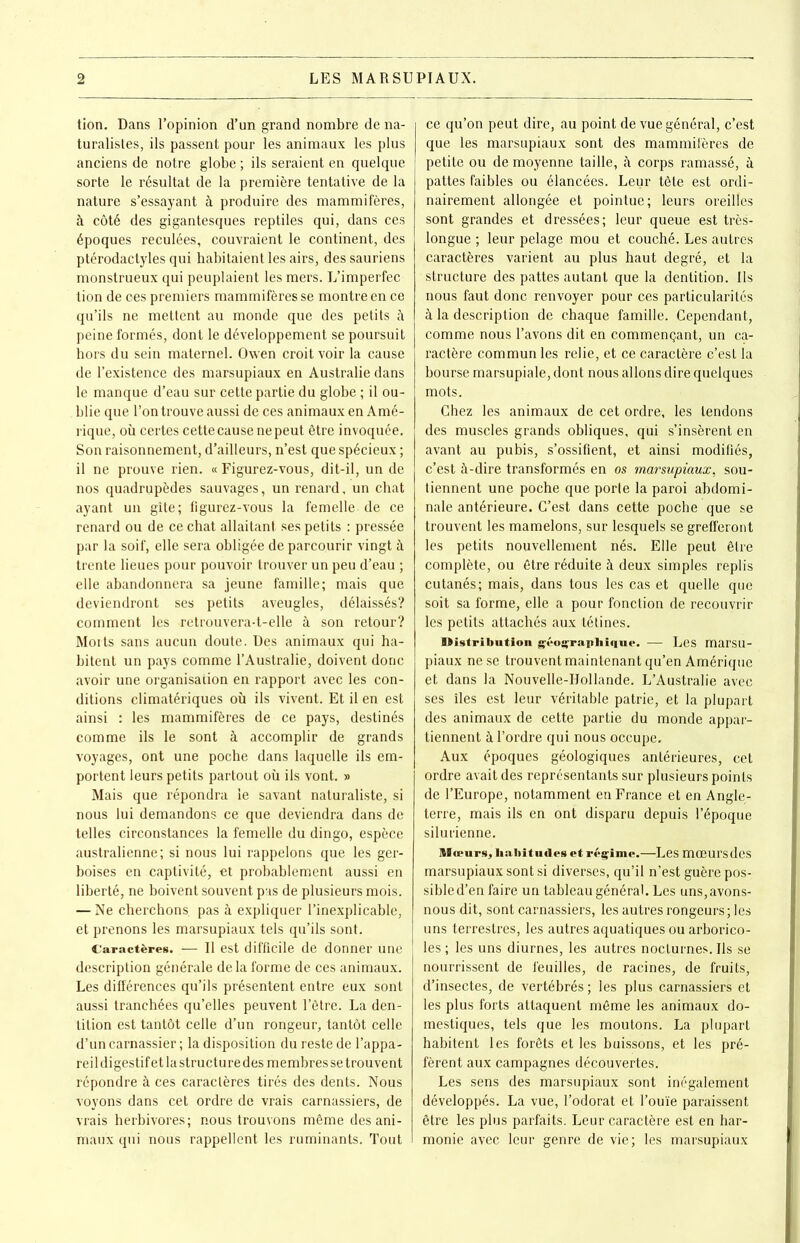 tion. Dans l’opinion d’un grand nombre de na- turalistes, ils passent pour les animaux les plus anciens de notre globe ; ils seraient en quelque sorte le résultat de la première tentative de la nature s’essayant à produire des mammifères, à côté des gigantesques reptiles qui, dans ces époques reculées, couvraient le continent, des ptérodactyles qui habitaient les airs, des sauriens monstrueux qui peuplaient les mers. L’imperfec tion de oes premiers mammifères se montre en ce qu’ils ne mettent au monde que des petits à peine formés, dont le développement se poursuit hors du sein maternel. Owen croit voir la cause de l’existence des marsupiaux en Australie dans le manque d’eau sur cette partie du globe ; il ou- blie que l’on trouve aussi de ces animaux en Amé- rique, où certes cette cause ne peut être invoquée. Son raisonnement, d’ailleurs, n’est que spécieux ; il ne prouve rien. « Figurez-vous, dit-il, un de nos quadrupèdes sauvages, un renard, un chat ayant un gîte; figurez-vous la femelle de ce renard ou de ce chat allaitant ses petits : pressée par la soif, elle sera obligée de parcourir vingt à trente lieues pour pouvoir trouver un peu d’eau ; elle abandonnera sa jeune famille; mais que deviendront ses petits aveugles, délaissés? comment les retrouvera-t-elle à son retour? Morts sans aucun doute. Des animaux qui ha- bitent un pays comme l’Australie, doivent donc avoir une organisation en rapport avec les con- ditions climatériques où ils vivent. Et il en est ainsi : les mammifères de ce pays, destinés comme ils le sont à accomplir de grands voyages, ont une poche dans laquelle ils em- portent leurs petits partout où ils vont. » Mais que répondra le savant naturaliste, si nous lui demandons ce que deviendra dans de telles circonstances la femelle du dingo, espèce australienne ; si nous lui rappelons que les ger- boises en captivité, et probablement aussi en liberté, ne boivent souvent pas de plusieurs mois. — Ne cherchons, pas à expliquer l’inexplicable, et prenons les marsupiaux tels qu’ils sont. Caractères. — Il est difficile de donner une description générale delà forme de ces animaux. Les différences qu’ils présentent entre eux sont aussi tranchées qu’elles peuvent l’être. La den- tition est tantôt celle d’un rongeur, tantôt celle d’un carnassier ; la disposition du reste de l’appa- reil digestif et la structure des membres setrouvent répondre à ces caractères tirés des dents. Nous voyons dans cet ordre de vrais carnassiers, de vrais herbivores; nous trouvons même des ani- maux qui nous rappellent les ruminants. Tout ce qu’on peut dire, au point de vue général, c’est que les marsupiaux sont des mammifères de petite ou de moyenne taille, à corps ramassé, à pattes faibles ou élancées. Leur tête est ordi- nairement allongée et pointue; leurs oreilles sont grandes et dressées; leur queue est très- longue ; leur pelage mou et couché. Les autres caractères varient au plus haut degré, et la structure des pattes autant que la dentition. Ils nous faut donc renvoyer pour ces particularités à la description de chaque famille. Cependant, comme nous l’avons dit en commençant, un ca- ractère commun les relie, et ce caractère c’est la bourse marsupiale, dont nous allons dire quelques mots. Chez les animaux de cet ordre, les tendons des muscles grands obliques, qui s’insèrent en avant au pubis, s’ossifient, et ainsi modifiés, c’est à-dire transformés en os marsupiaux, sou- tiennent une poche que porte la paroi abdomi- nale antérieure. C’est dans cette poche que se trouvent les mamelons, sur lesquels se grefferont les petits nouvellement nés. Elle peut être complète, ou être réduite à deux simples replis cutanés; mais, dans tous les cas et quelle que soit sa forme, elle a pour fonction de recouvrir les petits attachés aux tétines. Distribution gcoçraplii<im>. — Les marsu- piaux ne se trouvent maintenant qu’en Amérique et dans la Nouvelle-Hollande. L’Australie avec ses îles est leur véritable patrie, et la plupart des animaux de cette partie du monde appar- tiennent à l’ordre qui nous occupe. Aux époques géologiques antérieures, cet ordre avait des représentants sur plusieurs points de l’Europe, notamment en France et en Angle- terre, mais ils en ont disparu depuis l’époque silurienne. Mu-urs, habit iules et régime.—Les mœurs des marsupiaux sont si diverses, qu’il n’est guère pos- sibled’en faire un tableau général. Les uns, avons- nous dit, sont carnassiers, les autres rongeurs; les uns terrestres, les autres aquatiques ou arborico- les ; les uns diurnes, les autres nocturnes. Ils se nourrissent de feuilles, de racines, de fruits, d’insectes, de vertébrés ; les plus carnassiers et les plus forts attaquent même les animaux do- mestiques, tels que les moutons. La plupart habitent les forêts et les buissons, et les pré- fèrent aux campagnes découvertes. Les sens des marsupiaux sont inégalement développés. La vue, l’odorat et l’ouïe paraissent être les plus parfaits. Leur caractère est en har- monie avec leur genre de vie; les marsupiaux