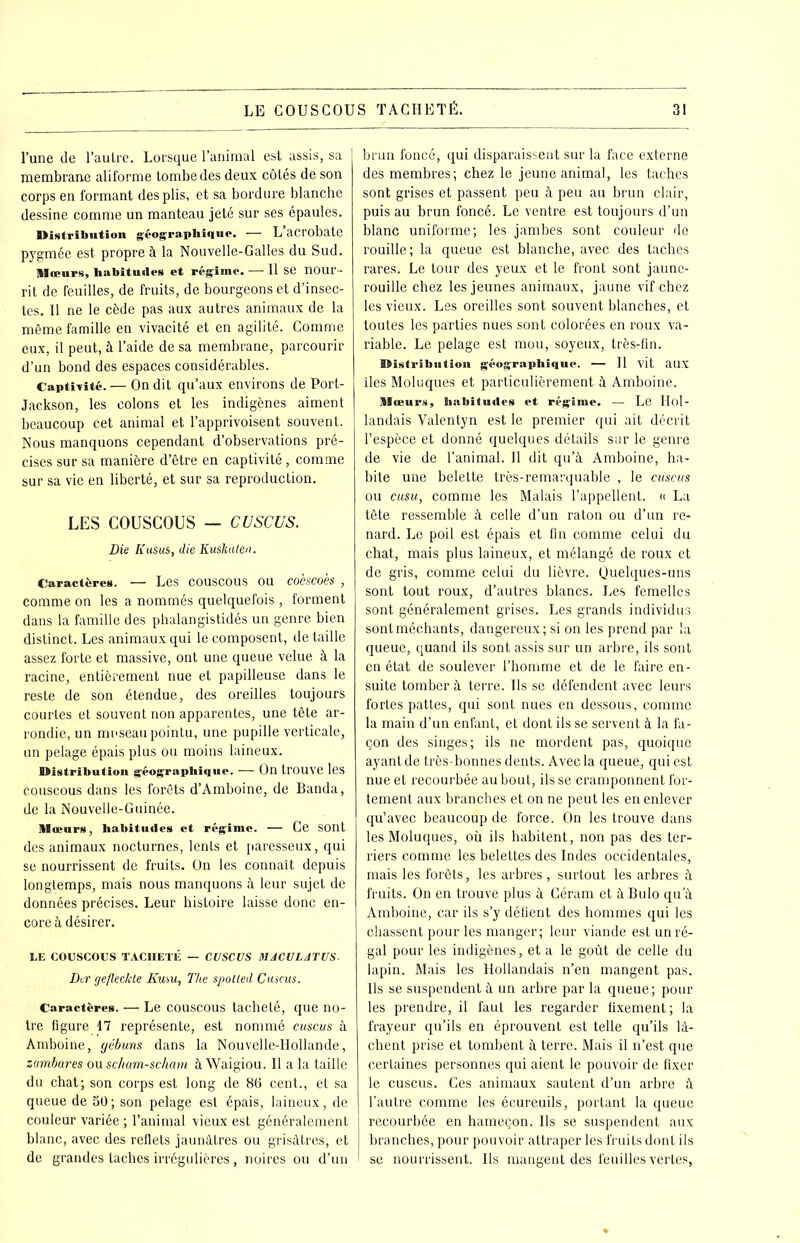 l’une de l’autre. Lorsque l’animal est assis, sa membrane aliforme tombe des deux côtés de son corps en formant des plis, et sa bordure blanche dessine comme un manteau jeté sur ses épaules. Distribution géographique. — L’acrobate pygmée est propre à la Nouvelle-Galles du Sud. Mœurs, habitudes et régime. — Il Se nour- rit de feuilles, de fruits, de bourgeons et d’insec- tes. Il ne le cède pas aux autres animaux de la même famille en vivacité et en agilité. Comme eux, il peut, à l’aide de sa membrane, parcourir d’un bond des espaces considérables. Captivité. — On dit qu’aux environs de Port- Jackson, les colons et les indigènes aiment beaucoup cet animal et l’apprivoisent souvent. Nous manquons cependant d’observations pré- cises sur sa manière d’être en captivité, comme sur sa vie en liberté, et sur sa reproduction. LES COUSCOUS — CUSCUS. Die Kusus, die Kushuten. Caractères. — Les couscous ou co'escoès , comme on les a nommés quelquefois , forment dans la famille des phalangistidés un genre bien distinct. Les animaux qui le composent, détaillé assez forte et massive, ont une queue velue à la racine, entièrement nue et papilleuse dans le reste de son étendue, des oreilles toujours courtes et souvent non apparentes, une tête ar- rondie, un museau pointu, une pupille verticale, un pelage épais plus ou moins laineux. Distribution géographique. — On trouve les couscous dans les forêts d’Amboine, de Banda, de la Nouvelle-Guinée. Mœurs, habitudes et régime. — Ce sont des animaux nocturnes, lents et paresseux, qui se nourrissent de fruits. On les connaît depuis longtemps, mais nous manquons à leur sujet de données précises. Leur histoire laisse donc en- core à désirer. LE COUSCOUS TACHETÉ — CUSCUS MACULJTUS. Dcr gefleckte Kusu, The spolled Cuscus. Caractères. — Le couscous tacheté, que no- tre figure 17 représente, est nommé cuscus à Amboine, gébuns dans la Nouvelle-Hollande, zumbares ou scham-scham à Waigiou. Il a la taille du chat; son corps est long de 86 cent., et sa queue de 50; son pelage est épais, laineux, de couleur variée ; l’animal vieux est généralement blanc, avec des reflets jaunâtres ou grisâtres, et de grandes taches irrégulières , noires ou d’un brun foncé, qui disparaissent sur la face externe des membres; chez le jeune animal, les taches sont grises et passent peu à peu au brun clair, puis au brun foncé. Le ventre est toujours d’un blanc uniforme; les jambes sont couleur de rouille; la queue est blanche, avec des taches rares. Le tour des yeux et le front sont jaune- rouille chez les jeunes animaux, jaune vif chez les vieux. Les oreilles sont souvent blanches, et toutes les parties nues sont colorées en roux va- riable. Le pelage est mou, soyeux, très-fin. Distribution géographique. — Il vit aux îles Moluques et particulièrement à Amboine. Mœurs, habitudes et régime. — Le Hol- landais Valentyn est le premier qui ait décrit l’espèce et donné quelques détails sur le genre de vie de l’animal. Il dit qu’à Amboine, ha- bite une belette très-remarquable , le cuscus ou cusu, comme les Malais l’appellent. « La tête ressemble à celle d’un raton ou d’un re- nard. Le poil est épais et fin comme celui du chat, mais plus laineux, et mélangé de roux et de gris, comme celui du lièvre. Quelques-uns sont tout roux, d’autres blancs. Les femelles sont généralement grises. Les grands individus sont méchants, dangereux; si on les prend par la queue, quand ils sont assis sur un. arbre, ils sont en état de soulever l’homme et de le faire en- suite tomber à terre. Us se défendent avec leurs fortes pattes, qui sont nues en dessous, comme la main d’un enfant, et dont ils se servent à la fa- çon des singes; ils ne mordent pas, quoique ayant de très-bonnes dents. Avec la queue, qui est nue et recourbée au bout, ils se cramponnent for- tement aux branches et on ne peut les en enlever qu’avec beaucoup de force. On les trouve dans les Moluques, où ils habitent, non pas des ter- riers comme les belettes des Indes occidentales, mais les forêts, les arbres , surtout les arbres à fruits. On en trouve plus à Céram et à Bulo qu'à Amboine, car ils s’y défient des hommes qui les chassent pour les manger; leur viande est un ré- gal pour les indigènes, et a le goût de celle du lapin. Mais les Hollandais n’en mangent pas. Us se suspendent à un arbre par la queue; pour les prendre, il faut les regarder fixement ; la frayeur qu’ils en éprouvent est telle qu’ils lâ- chent prise et tombent à terre. Mais il n’est que certaines personnes qui aient le pouvoir de fixer le cuscus. Ges animaux sautent d’un arbre à l’autre comme les écureuils, portant la queue recourbée en hameçon. Ils se suspendent aux branches, pour pouvoir attraper les fruits dont ils se nourrissent. Us mangent des feuilles vertes,