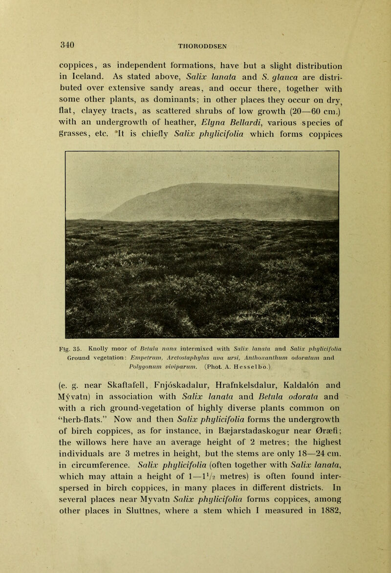coppices, as independent formations, have but a slight distribution in Iceland. As stated above, Salix lanata and S. glauca are distri- buted over extensive sandy areas, and occur there, together with some other plants, as dominants; in other places they occur on dry? flat, clayey tracts, as scattered shrubs of low growth (20—60 cm.) with an undergrowth of heather, Elijna Bellardi, various species of grasses, etc. It is chiefly Salix phylicifolia which forms coppices F!g. 35. Knolly moor of Iietula liana intermixed with Salix lanata and Salix phylicifolia Ground vegetation: Empetruin, Arctostaphylus uva ursi, Anthoxanthum odoratum and Polygonum viviparum. (Phot. A. Hesselbo.) (e. g. near Skaftafell, Fnjoskadalur, Hrafnkelsdalur, Kaldalon and Myvatn) in association with Salix lanata and Betala odorata and with a rich ground-vegetation of highly diverse plants common on “herb-flats.” Now and then Salix phylicifolia forms the undergrowth of birch coppices, as for instance, in Bsejarstadaskogur near 0r3efi; the willows here have an average height of 2 metres; the highest individuals are 3 metres in height, but the stems are only 18—24 cm. in cii’cumference. Salix phylicifolia (often together with Salix lanata, which may attain a height of 1 — IV2 metres) is often found inter- spersed in birch coppices, in many places in different districts. In several places near Myvatn Salix phylicifolia forms coppices, among other places in Sluttnes, where a stem which I measured in 1882,