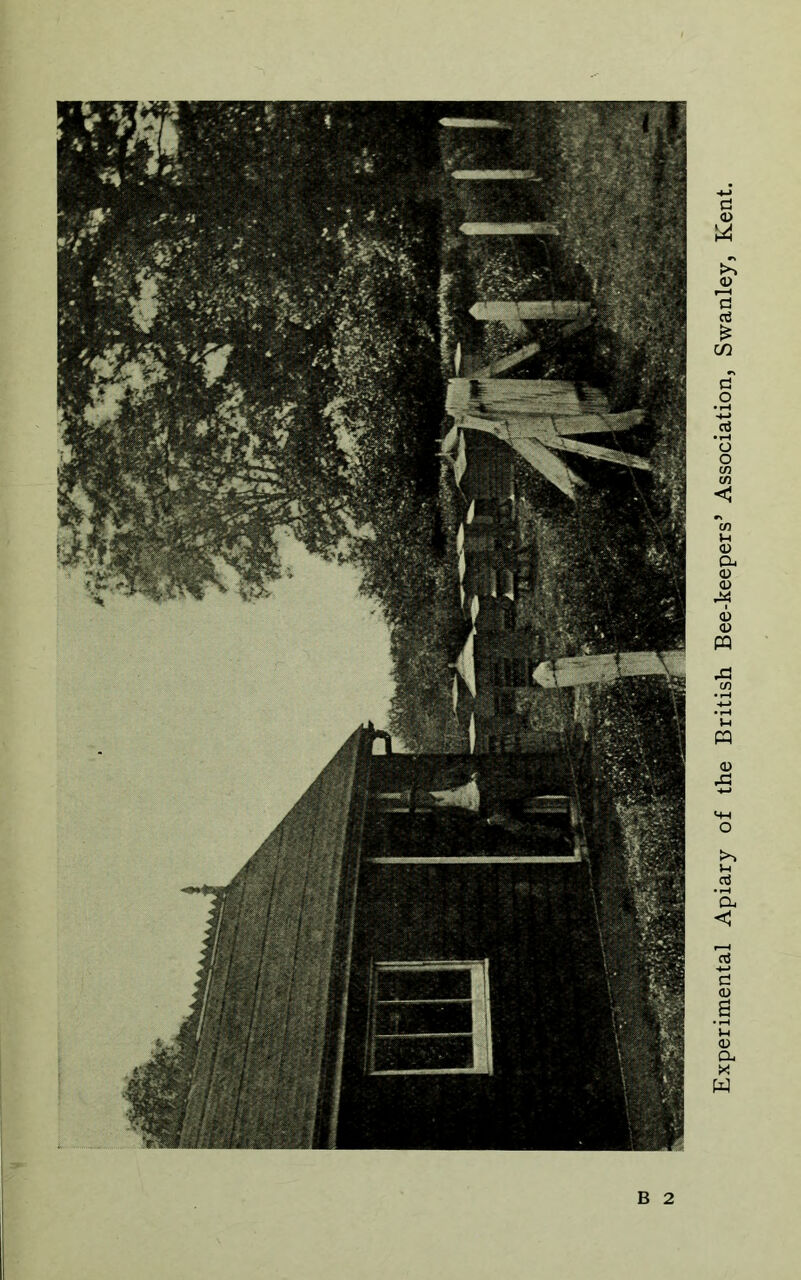 Experimental Apiary of the British Bee-keepers’ Association, Swanley, Kent.