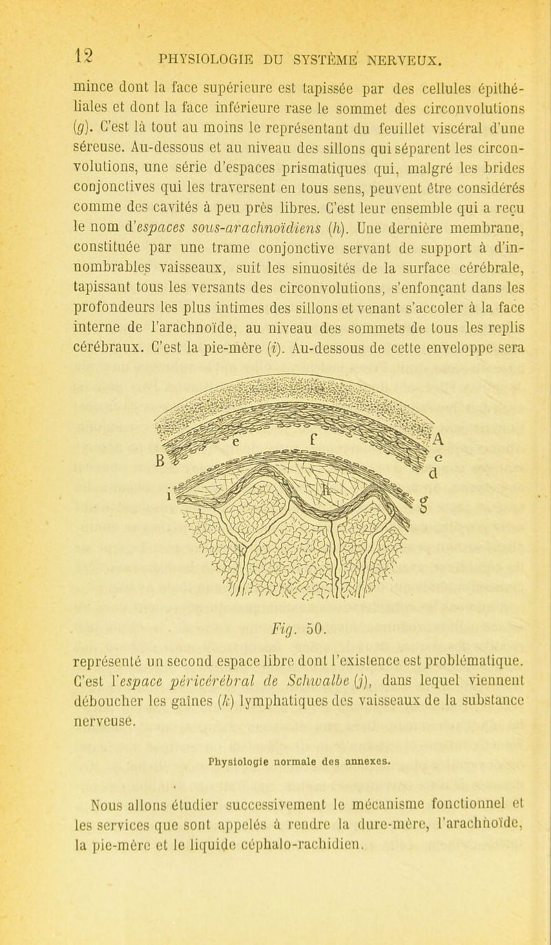 mince dont la face supérieure est tapissée par des cellules épithé- liales et dont la face inférieure rase le sommet des circonvolutions (g). C’est là tout au moins le représentant du feuillet viscéral d’une séreuse. Au-dessous et au niveau des sillons qui séparent les circon- volutions, une série d’espaces prismatiques qui, malgré les brides conjonctives qui les traversent en tous sens, peuvent être considérés comme des cavités à peu près libres. C’est leur ensemble qui a reçu le nom d'espaces sous-arachnoïcliens (h). Une dernière membrane, constituée par une trame conjonctive servant de support à d’in- nombrables vaisseaux, suit les sinuosités de la surface cérébrale, tapissant tous les versants des circonvolutions, s’enfonçant dans les profondeurs les plus intimes des sillons et venant s’accoler à la face interne de l’arachnoïde, au niveau des sommets de tous les replis cérébraux. C’est la pie-mère (i). Au-dessous de cette enveloppe sera Fig. 50. représenté un second espace libre dont l’existence est problématique. C’est l’espace périçérébral de Schwalbe (j), dans lequel viennent déboucher les gaines (k) lymphatiques des vaisseaux de la substance nerveuse. Physiologie normale dos annexes. Nous allons étudier successivement le mécanisme fonctionnel et les services que sont appelés à rendre la dure-mère, l'arachnoïde, la pie-mère et le liquide céphalo-rachidien.