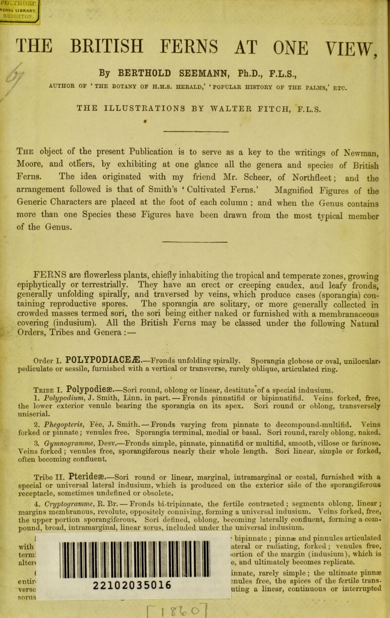 THE BRITISH FERNS AT ONE VIEW, * By BERTHOLD SEEMANN, Ph.D., F.L.S., AUTHOR OF ‘ THE BOTANY OF H.M.S. HERALD,’ ‘ POPULAR HISTORY OF THE PALMS,’ ETC. THE ILLUSTRATIONS BY WALTER FITCH, F.L.S. The object of the present Publication is to serve as a key to the writings of Newman, Moore, and others, by exhibiting at one glance all the genera and species of British Ferns. The idea originated with my friend Mr. Scheer, of Northfleet; and the arrangement followed is that of Smith’s * Cultivated Ferns.’ Magnified Figures of the Generic Characters are placed at the foot of each column ; and when the Genus contains more than one Species these Figures have been drawn from the most typical member of the Genus. FEPtNS are flowerless plants, chiefly inhabiting the tropical and temperate zones, growing epiphytically or terrestrially. They have an erect or creeping caudex, and leafy fronds, generally unfolding spirally, and traversed by veins, which produce cases (sporangia) con- taining reproductive spores. The sporangia are solitary, or more generally collected in crowded masses termed sori, the sori being either naked or furnished with a membranaceous covering (indusium). All the British Ferns may be classed under the following Natural Orders, Tribes and Genera : — Order I. POLYPODIACEiE .—Fronds unfolding spirally. Sporangia globose or oval, unilocular> pediculate or sessile, furnished with a vertical or transverse, rarely oblique, articulated ring. Tribe I. PolypodietB.—Sori round, oblong or linear, destitute of a special indusium. 1. Polypodiuvi, J. Smith, Linn, in part. — Fronds pinnatifid or bipinnatifid. Veins forked, free, the lower exterior venule bearing the sporangia on its apex. Sori round or oblong, transversely uniserial. 2. Phegopteris, Fee, J. Smith.— Fronds varying from pinnate to decompound-multifid. Veins forked or pinnate; venules free. Sporangia terminal, medial or basal. Sori round, rarely oblong, naked. 3. Gymnogramvie, Desv.—Fronds simple, pinnate, pinnatifid or multifid, smooth, villose or farinose. Veins forked; venules free, sporangiferous nearly their whole length. Sori linear, simple or forked, often becoming confluent. Tribe II. Pteridese.—Sori round or linear, marginal, intramarginal or costal, furnished with a speeial or universal lateral indusium, which is produced on the exterior side of the sporangiferous receptacle, sometimes undefined or obsolete. 4. Cryptogramme, R. Br.— Fronds bi-tripinnate, the fertile contracted; segments oblong, linear; margins membranous, revolute, oppositely conniving, forming a universal indusium. Veins forked, free, the upper portion sporangiferous. Sori defined, oblong, becoming laterally confluent, forming a com- pound, broad, intramarginal, linear sorus, included under the universal indusium. ' bipinnate ; pinnse and pinnules articulated ateral or radiating, forked; venules free, tortion of the margin (indusium), which is e, and ultimately becomes replicate. innate, rarely simple; the ultimate pinnae snules free, the apices of the fertile trans- uting a linear, continuous or interrupted with term: alter< ( entiri verse 22102035016