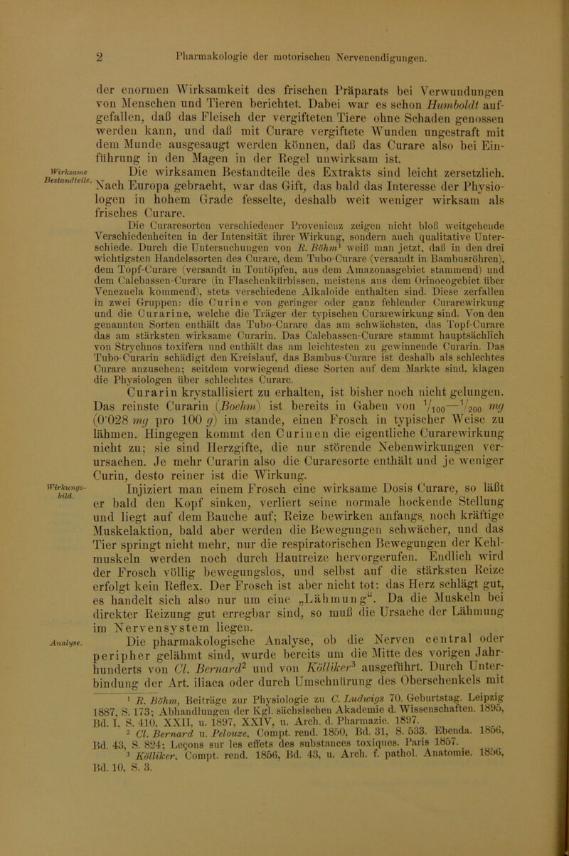 der enormen Wirksamkeit des frischen Präparats bei Verwundungen von i\Fenschen und Tieren berichtet. Dabei war es schon Humboldt auf- gefallen, daß das Fleisch der vergifteten Tiere ohne Schaden genossen werden kann, und daß mit Curare vergiftete Wunden ungestraft mit dem Munde ausgesaugt werden können, daß das Curare also bei Ein- flihrung in den Magen in der Regel unwirksam ist. Wirksame Die wirksamen Bestandteile des Extrakts sind leicht zersetzlich. estan T^^ch Europa gebracht, war das Gift, das bald das Interesse der Physio- logen in hohem Grade fesselte, deshalb weit weniger wirksam als frisches Curare. Die Curaresorten verschiedener Provenienz zeigen nicht bloß weitgehende Verschiedenheiten in der Intensität ihrer Wirkung, sondern auch qualitative Unter- schiede. Durch die Untersuchungen von R. Böhm' w'oiß man jetzt, daß in den drei wichtigsten Handelssorten des Curare, dem Tubo-Curare (versandt in Bambusrohren), dem Topf-Curare (versandt in Tontöpfen, aus dem Amazonasgebiet stammend) und dem Calebassen-Curare (.in Flaschenkürbissen, meistens aus dem Orinocogebiet über Venezuela kommend), stets verschiedene Alkaloide enthalten sind. Diese zerfallen in zwei Gruppen: die Curine von geringer oder ganz fehlender Gurarewirkung und die Curarine, welche die Träger der typischen Gurarewirkung sind. Von den genannten Sorten enthält das Tubo-Curare das am schwächsten, das Topf-Curare das am stärksten wirksame Curarin. Das Calebassen-Curare stammt hauptsächlich von Strychnos toxifera und enthält das am leichtesten zu gewinnende Curarin. Das Tubo Curarin schädigt den Kreislauf, das Bambus-Curare ist deshalb als schlechtes Curare auzusehen; seitdem vorwiegend diese Sorten auf dem Markte sind, klagen die Physiologen über schlechtes Curare. Curarin krystallisiert zu erhalten, ist bisher noch nicht gelungen. Das reinste Curarin (Boehni) ist bereits in Gaben von Vioo—^'200 (0'028 mg pro 100 g) im stände, einen Frosch in typischer Weise zu lähmen. Hingegen kommt den Cur inen die eigentliche Curare Wirkung nicht zu; sie sind Herzgifte, die nur störende Nebenwirkungen ver- ursachen. Je mehr Curarin also die Curaresorte enthält und je weniger Curin, desto reiner ist die Wirkung. Injiziert man einem Frosch eine wirksame Dosis Curare, so läßt er bald den Kopf sinken, verliert seine normale hockende Stellung und liegt auf dem Bauche auf; Reize bewirken anfangs, noch kräftige Muskelaktion, bald aber werden die Bewegungen schwächer, und das Tier springt nicht mehr, nur die respiratorischen Bewegungen der Kehl- muskeln werden noch durch Hautreize hervorgerufen. Endlich wird der Frosch völlig bewegungslos, und selbst auf die stärksten Reize erfolgt kein Reflex. Der Frosch ist aber nicht tot: das Herz schlägt gut, es handelt sich also nur um eine „Lähmung“. Da die Muskeln bei direkter Reizung gut erregbar sind, so muß die Ursache der Lähmung im Nervensystem liegen. Analyse. Die pharmakologische Analyse, ob die Nerven central oder peripher gelähmt sind, wurde bereits um die iUitte des vorigen Jahr- hunderts von CI. Bernard^ und von Kölliker^ ausgeführt. Durcli Unter- bindung der Art. iliaca oder durch Umschnürung des Oberschenkels mit ' R. Böhm, Beiträge zur Physiologie zu C. Ludwigs 70. Geburtstag. Leipzig 1887, 8.173; Abhandluugen der Kgl. sächsischen Akademie d. Wissenschaften. 1895, Bd. 1. S. 410, XXII, u. 1897, XXIV, u. Arch. d. Pharmazie. 1897. ^ C7. Bernard u. Peloiize^ Compt. reud. 1850, J3d. 31, S. 533. Lbeiida. 1856, Bd. 43, S. 824; Legons sur les effets des substances toxiques. Paris 1857. ^ Kölliker^ Compt. reud. 1856, 1kl. 43, u. Arcli. f. pathol. Anatomie. 18o6, 1kl. 10, S. 3.